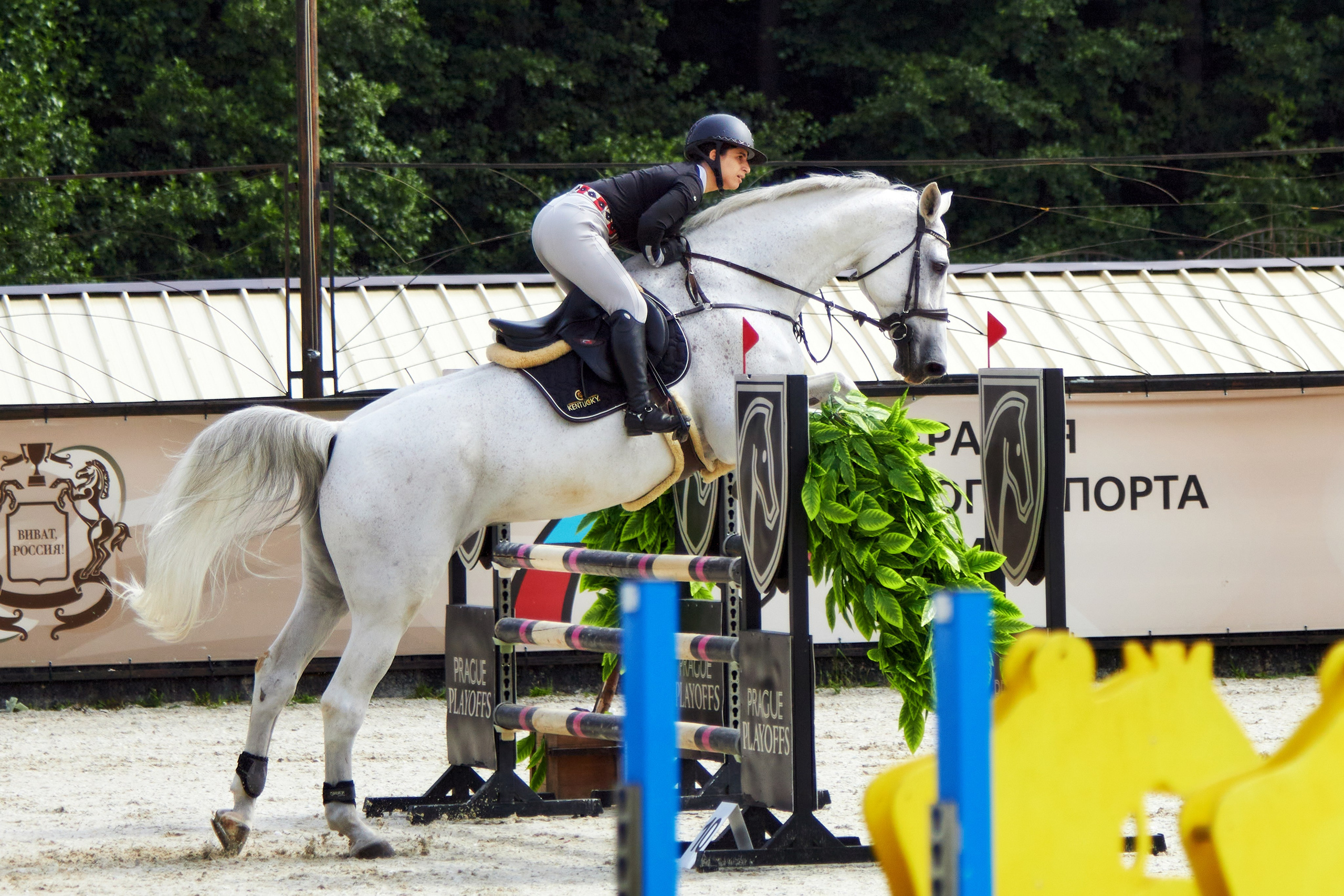 Конкур в «Виват, Россия». Фотограф анималист — Тула, Москва
