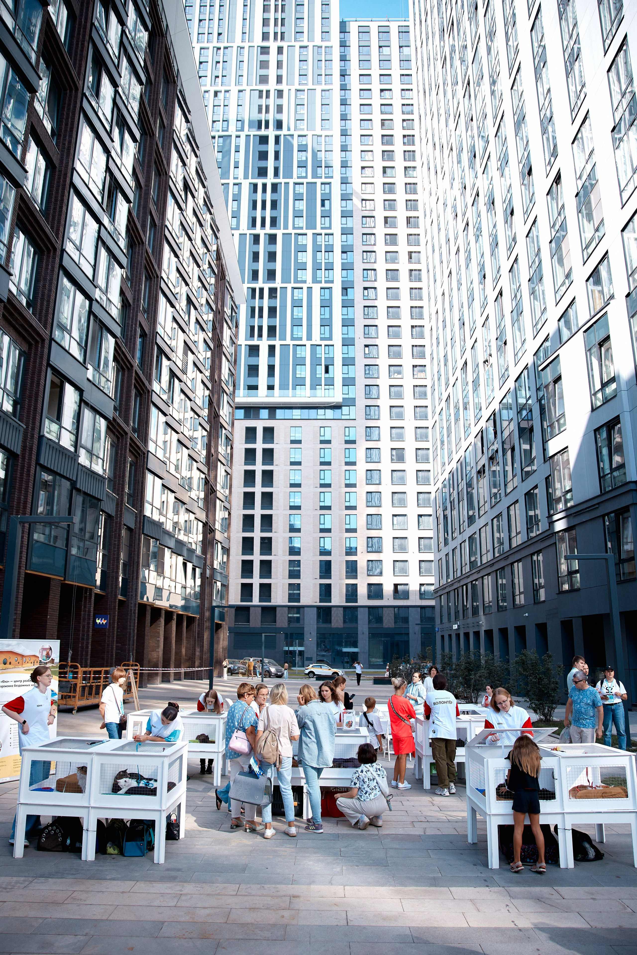 Ilove • Кортрос • Юна. Cheeelsa.ru