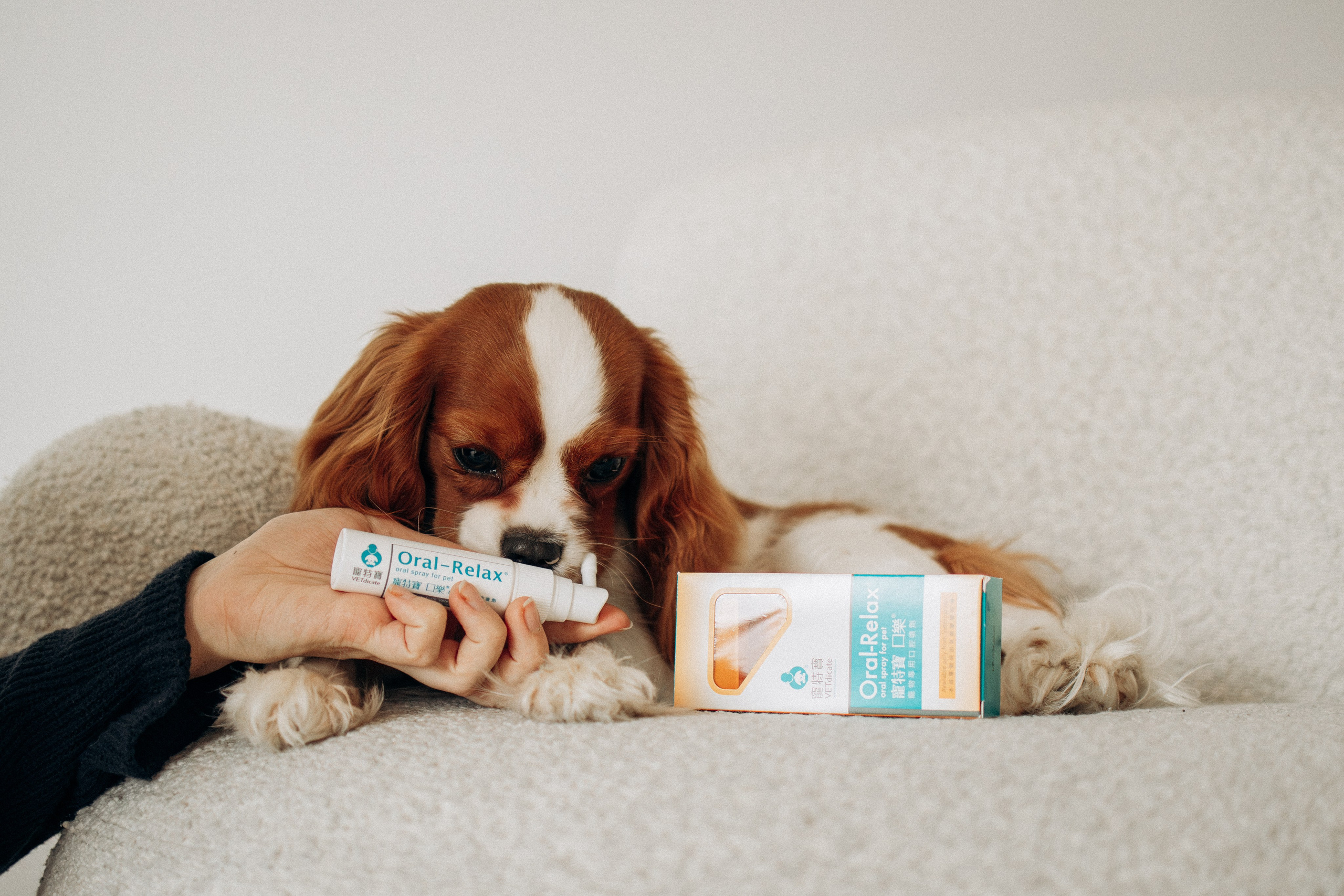 Orozyme&Emmiepet. Фотораф — анималист Мария Шистка