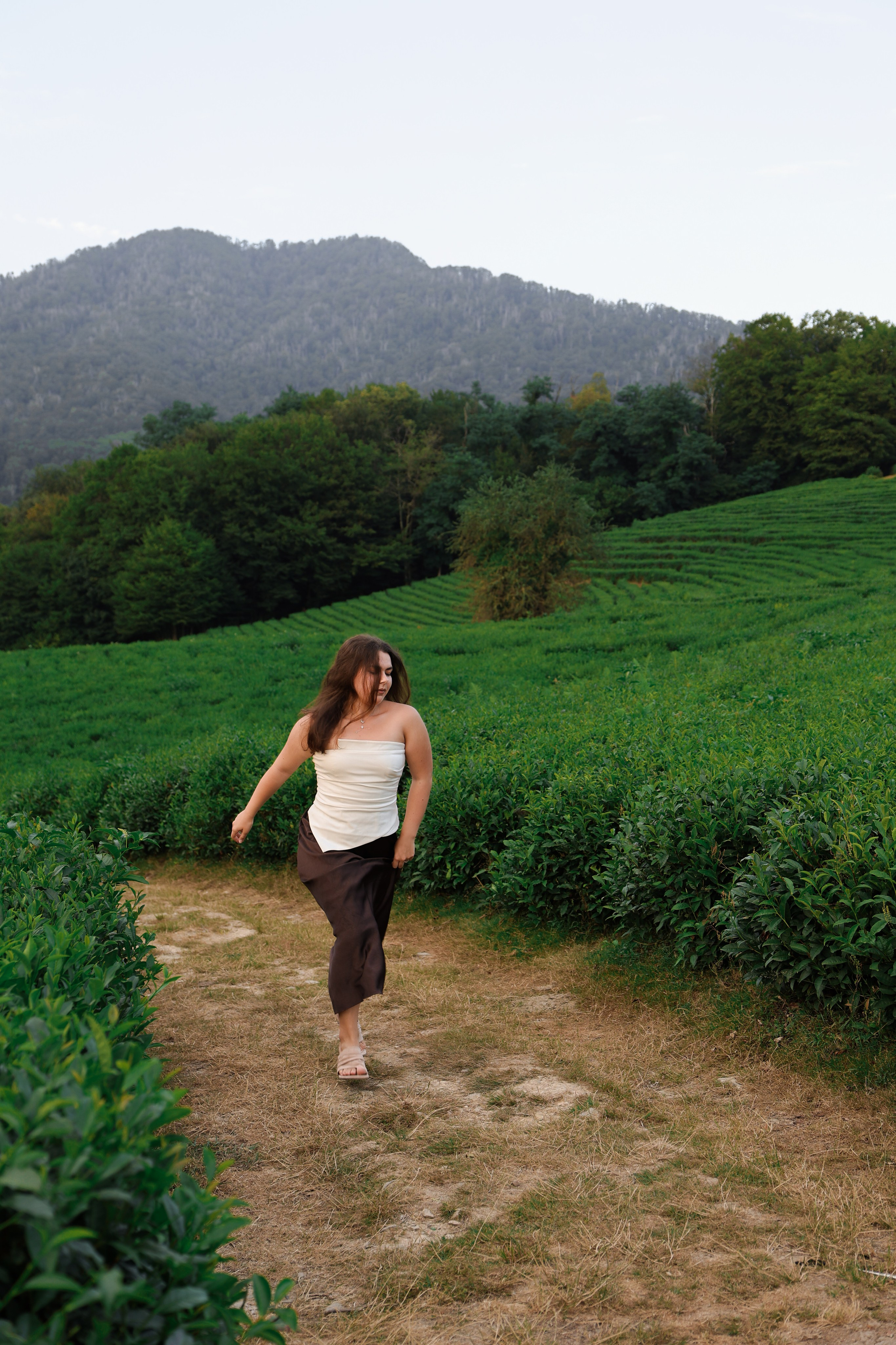 ЧАЙНЫЕ ПЛАНТАЦИИ. Фотограф Москва Оля Олбимак