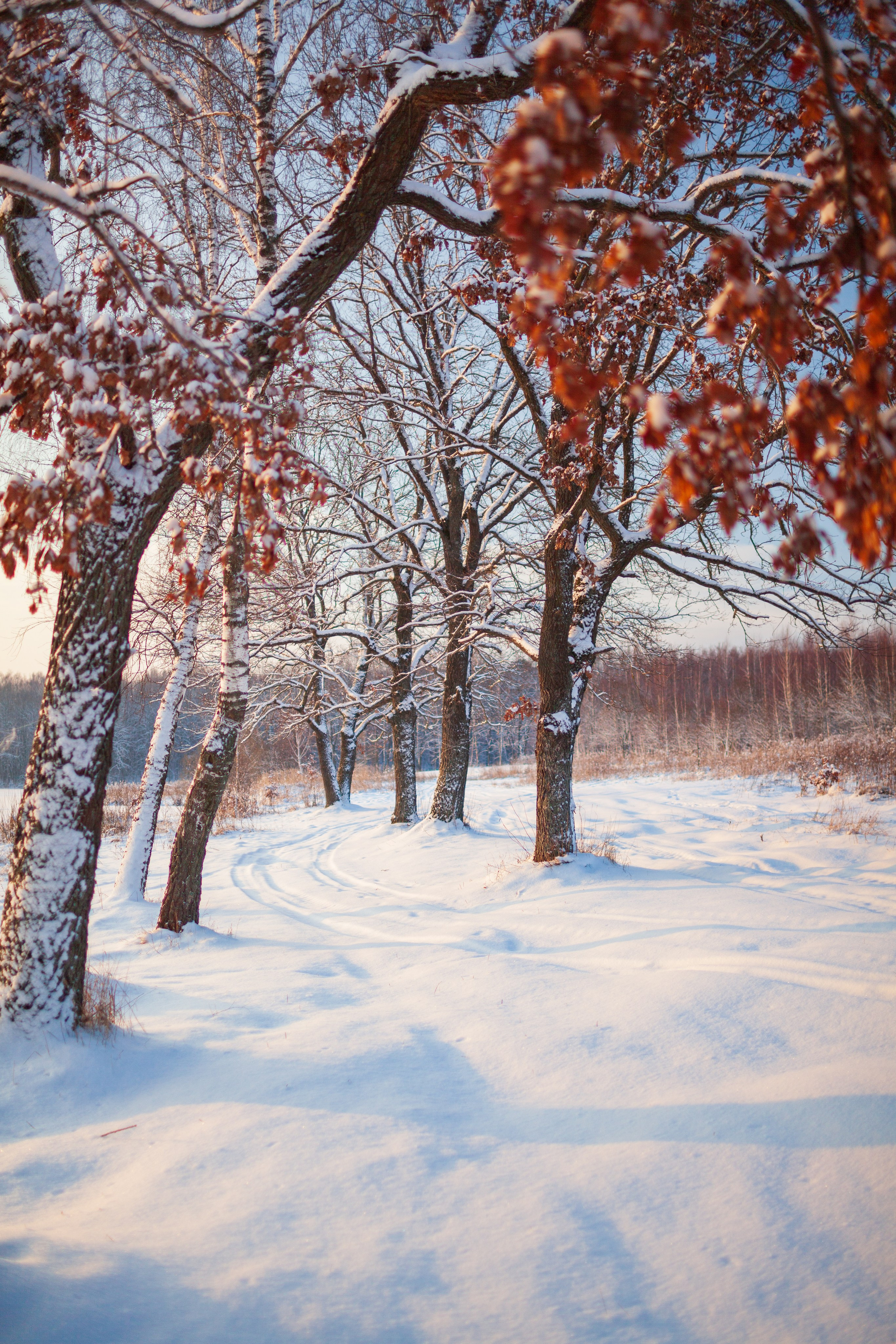 Природа. Фотохудожник Артём Парамонов