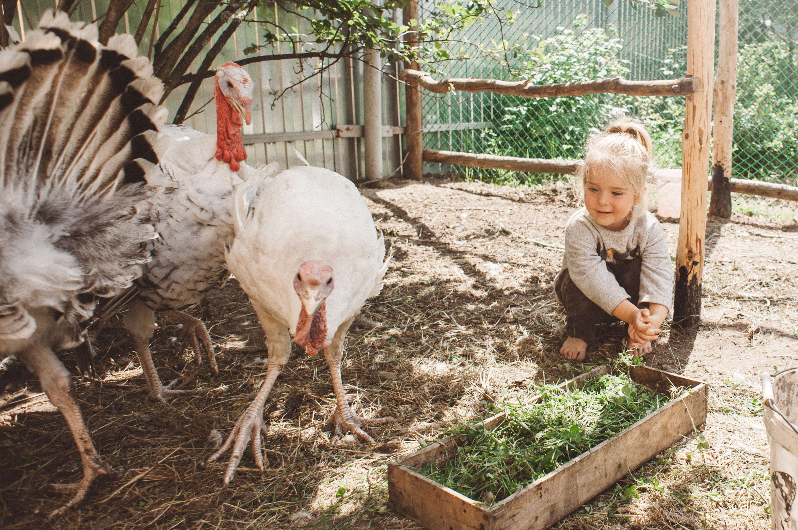 Семейная фотосессия в стиле лайфстайл часть третья. Семейный фотограф в Москве Елена Снегирева