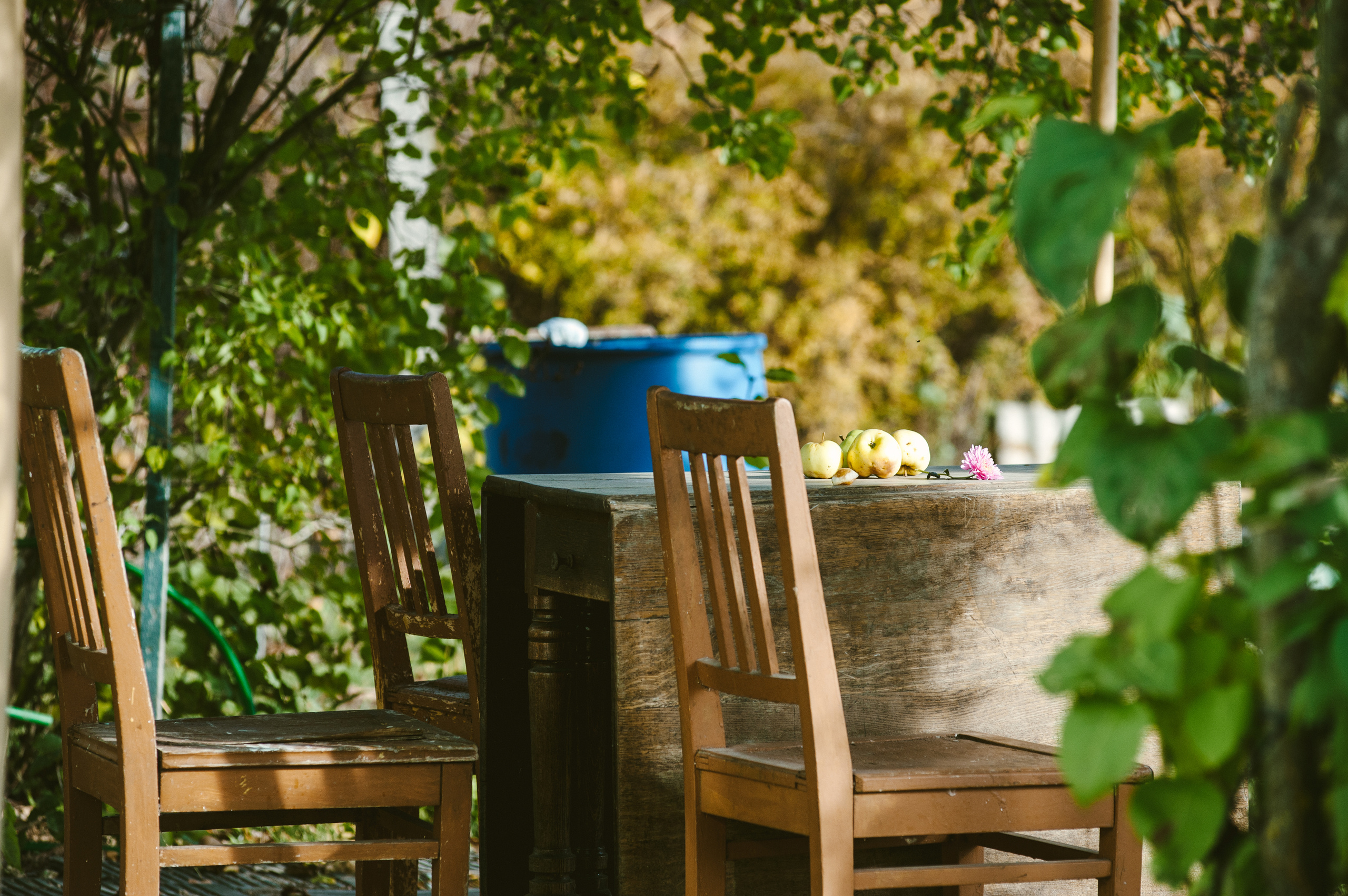 Семейная фотосессия за городом на даче. Семейный фотограф в Москве Елена Снегирева