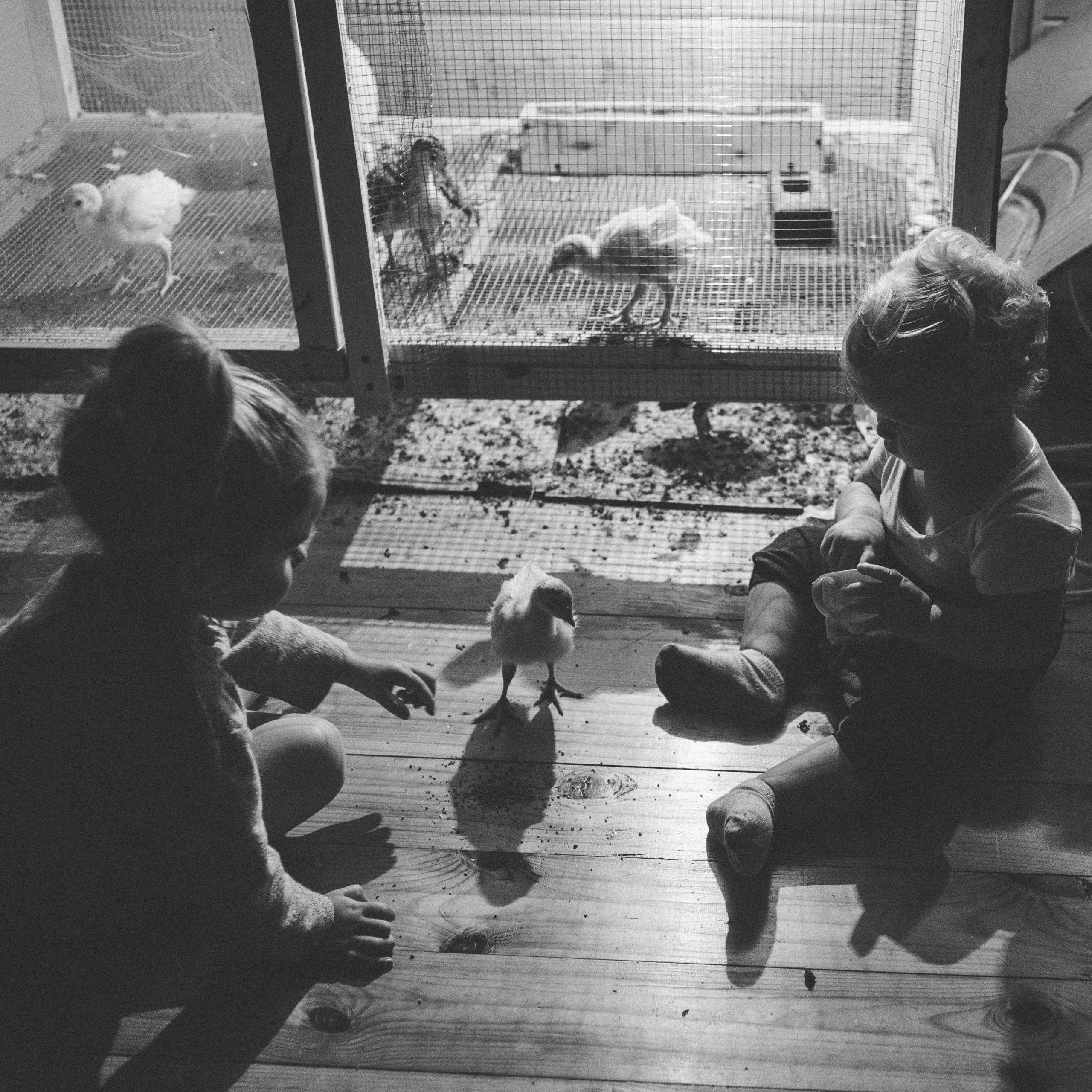 Семейная фотосессия в стиле лайфстайл часть вторая. Семейный фотограф в Москве Елена Снегирева