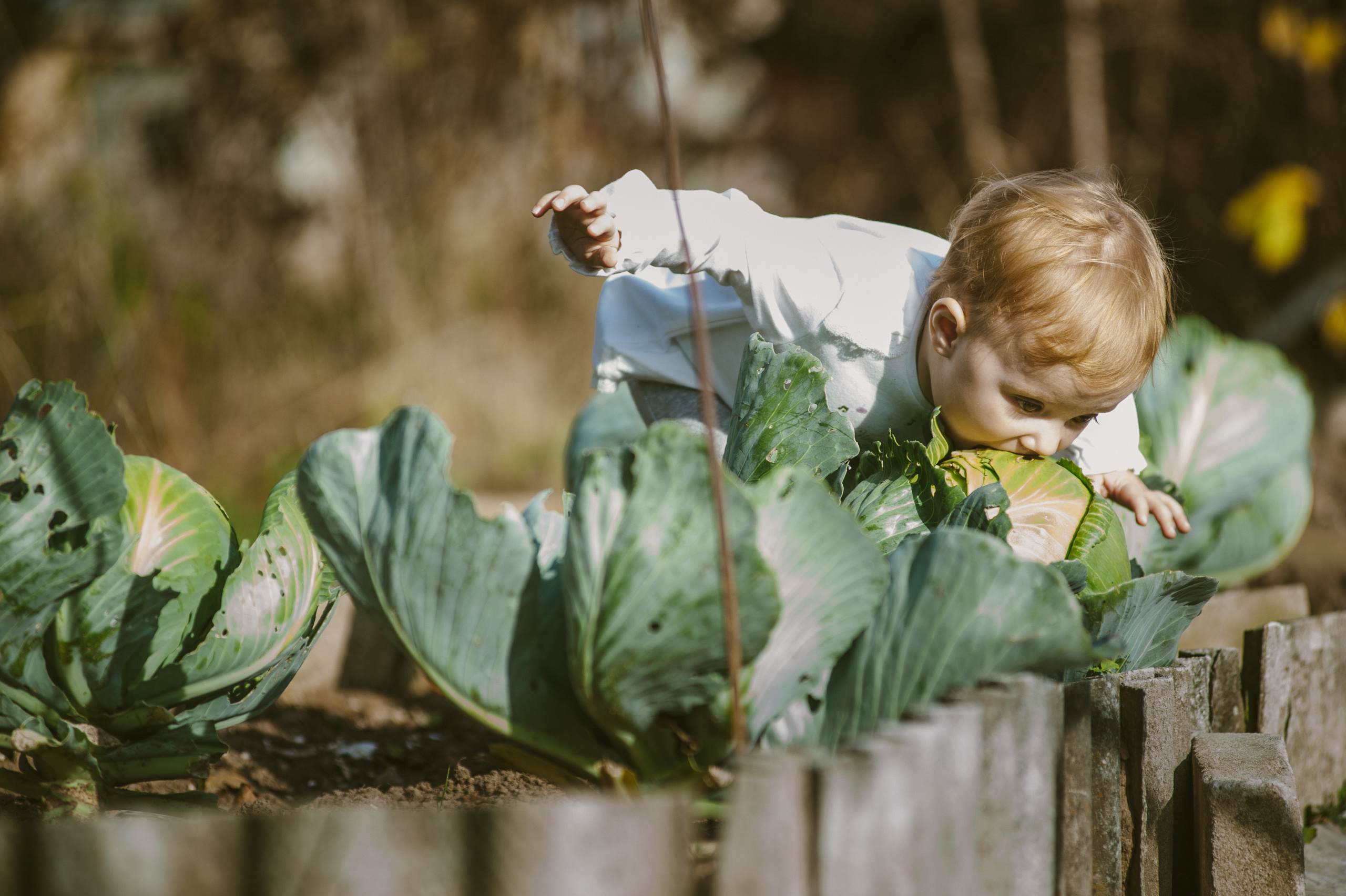 Семейная фотосессия за городом на даче. Семейный фотограф в Москве Елена Снегирева