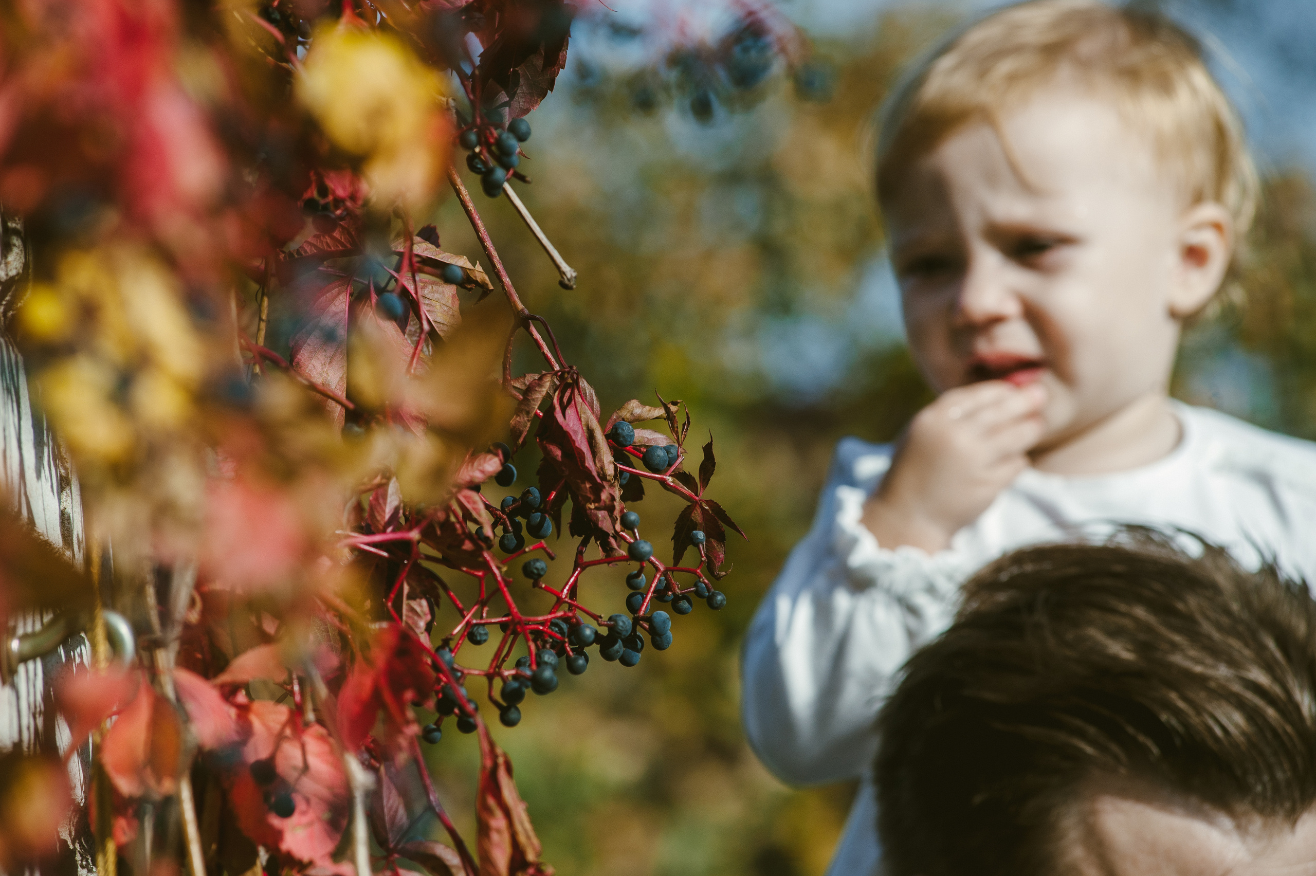 Семейная фотосессия за городом на даче. Семейный фотограф в Москве Елена Снегирева