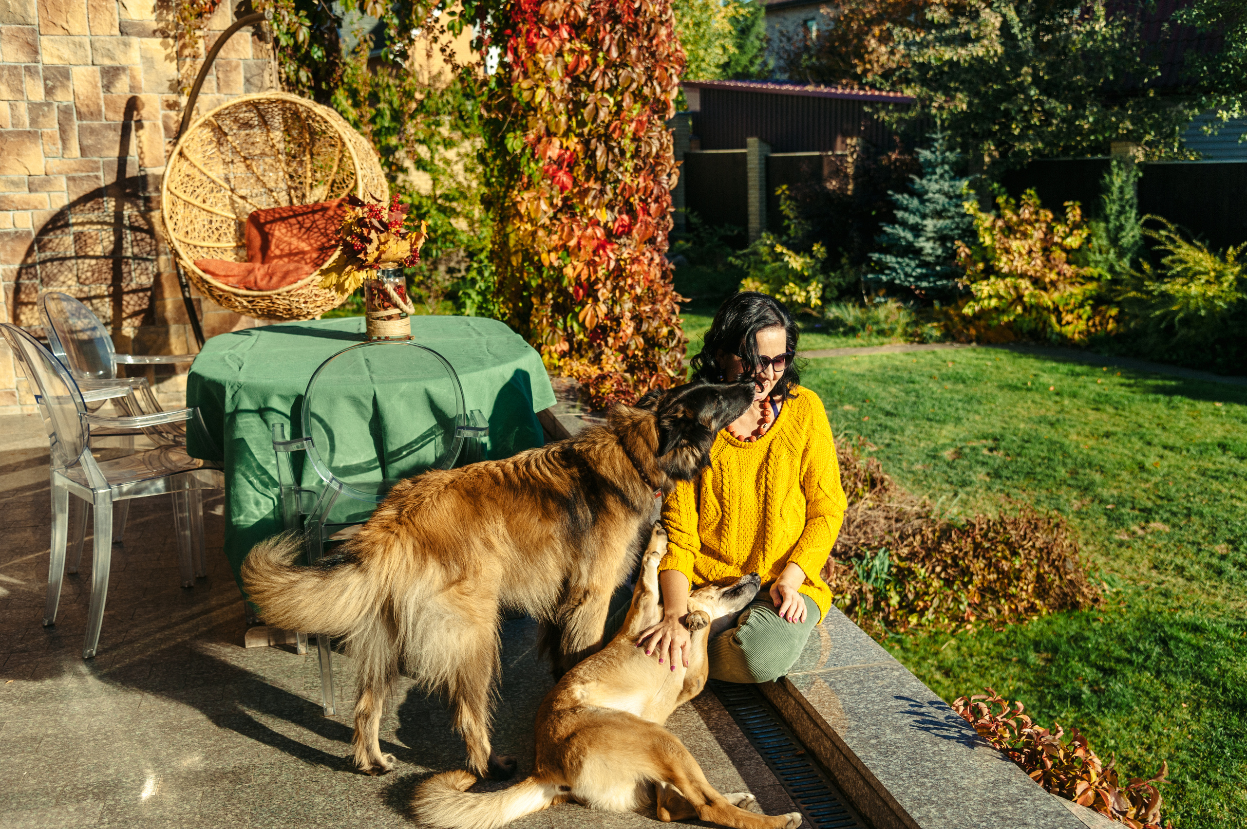 Осенняя портретная фотосессия женщины дома с собаками