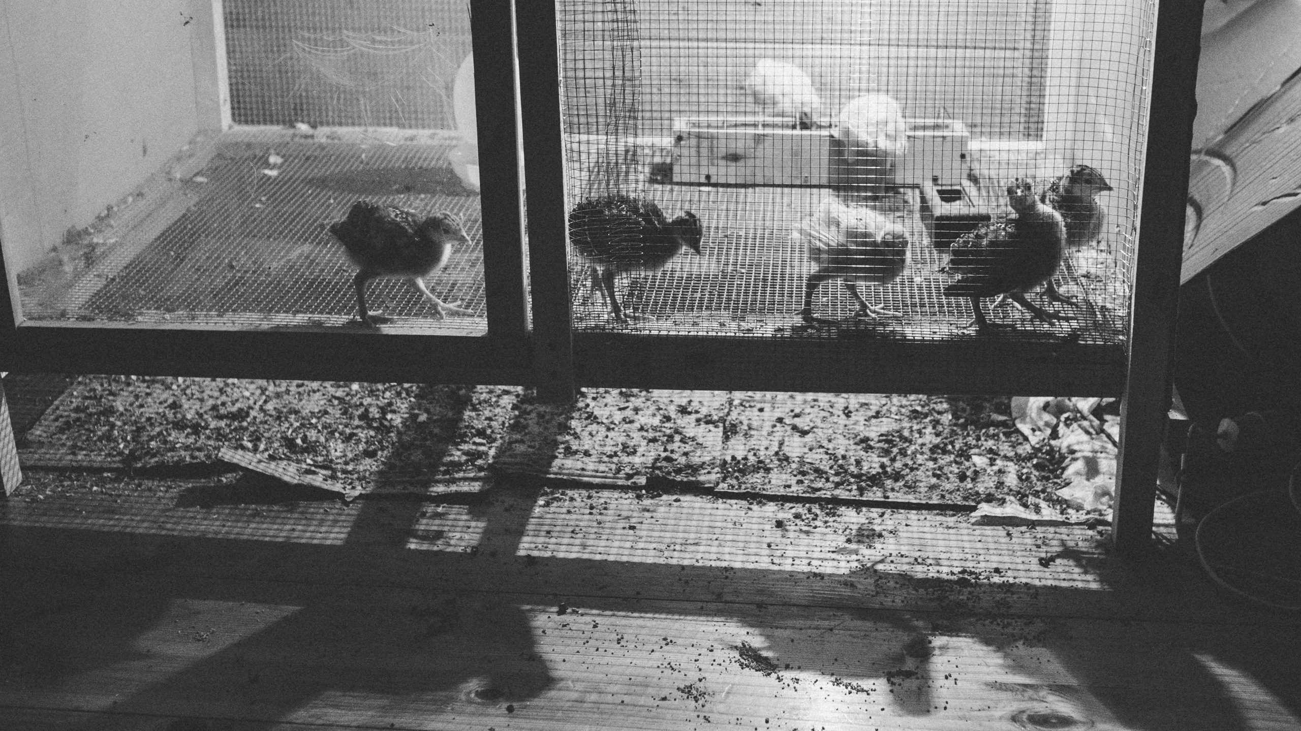 Семейная фотосессия в стиле лайфстайл часть вторая. Семейный фотограф в Москве Елена Снегирева