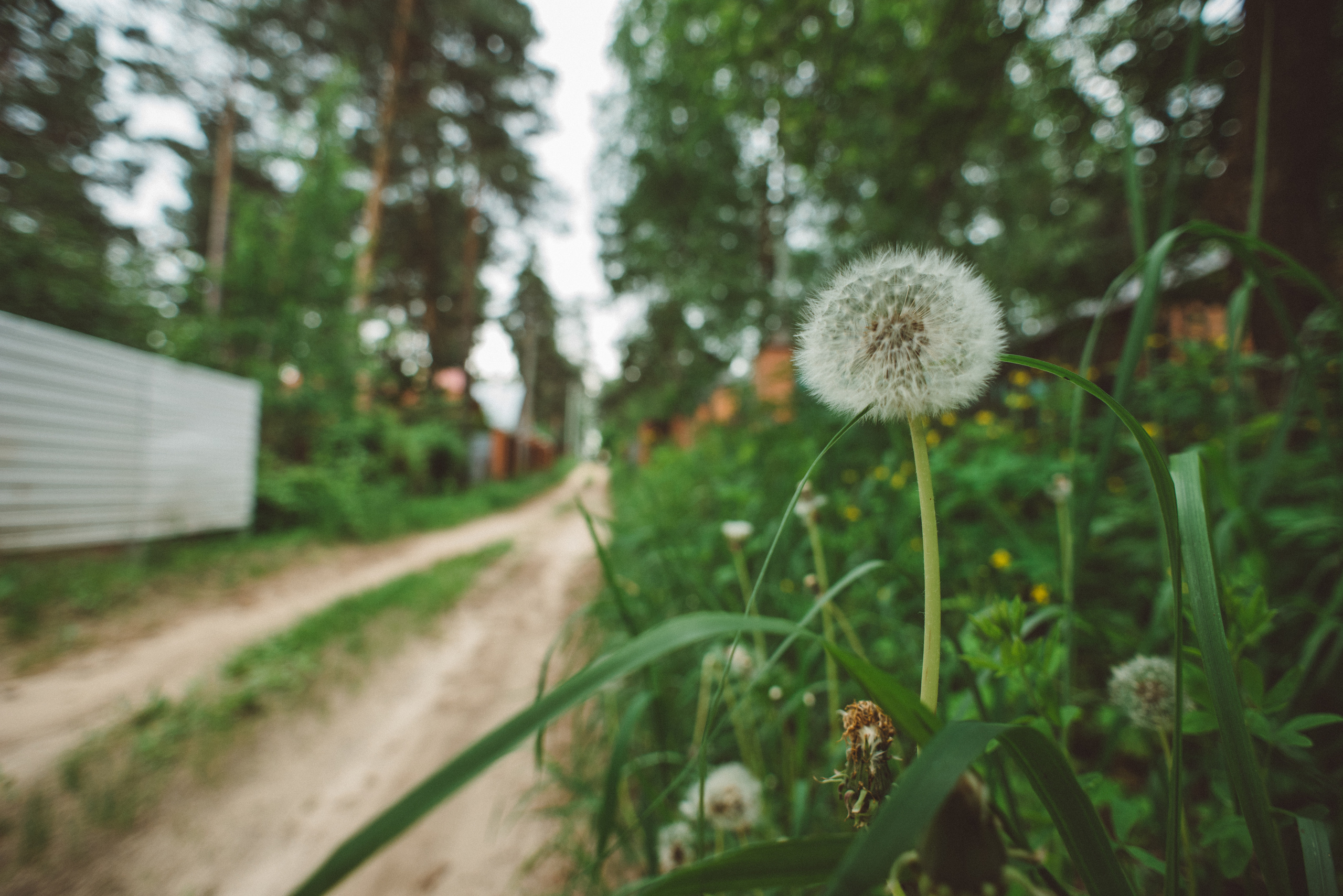 Семейная фотосессия в стиле лайфстайл часть вторая. Семейный фотограф в Москве Елена Снегирева