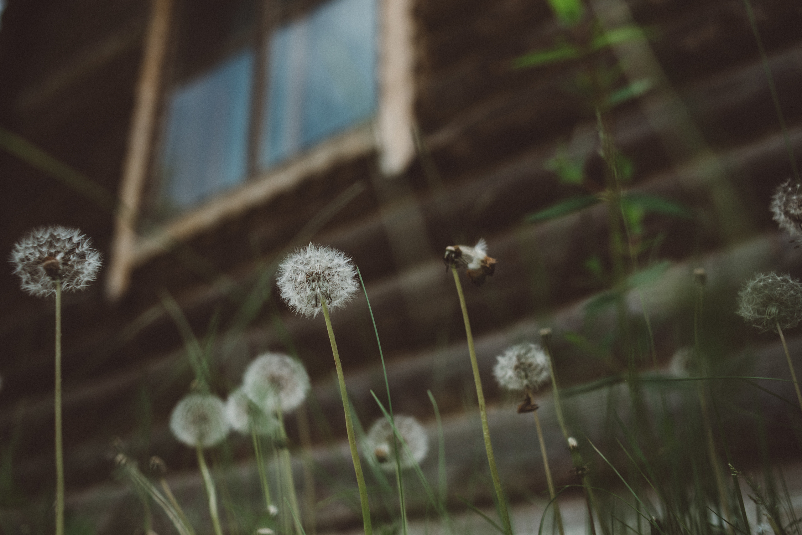 Семейная фотосессия в стиле лайфстайл часть третья. Семейный фотограф в Москве Елена Снегирева