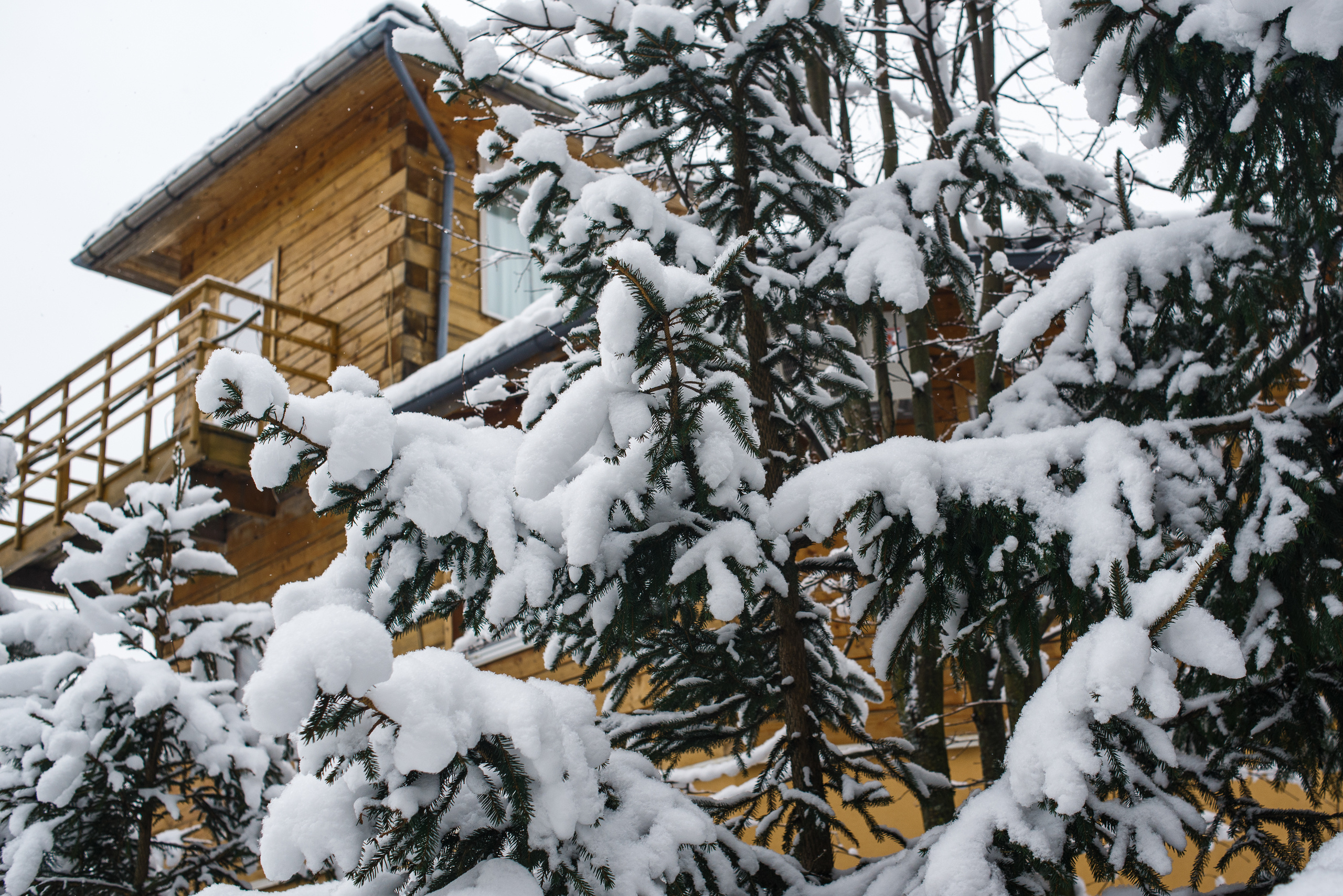 Зимняя семейная фотосессия с хорошим настроением. Семейный фотограф в Москве Елена Снегирева