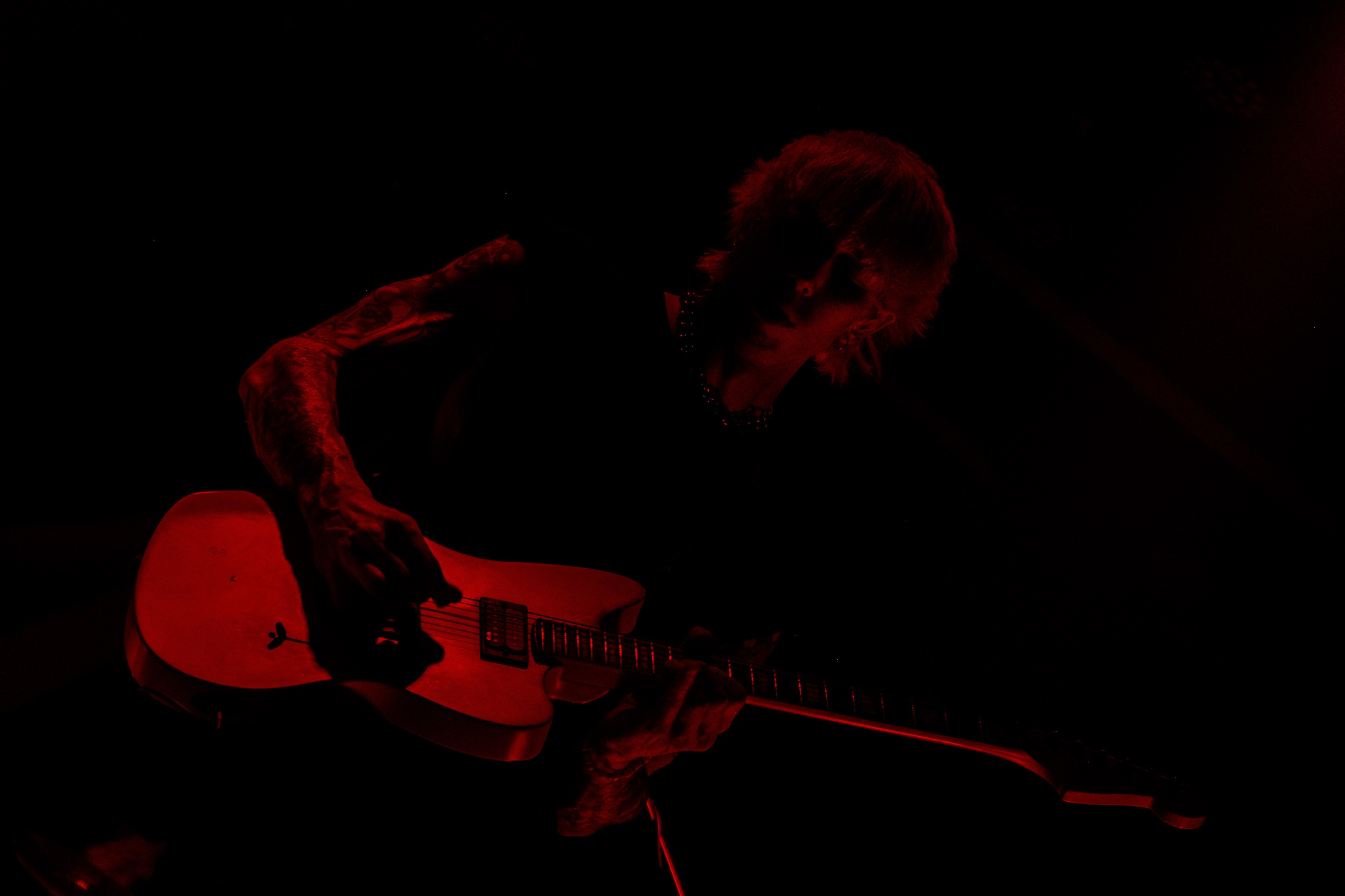 Wildways, Sound, 16.11.24. Репортажный фотограф, Санкт-Петербург