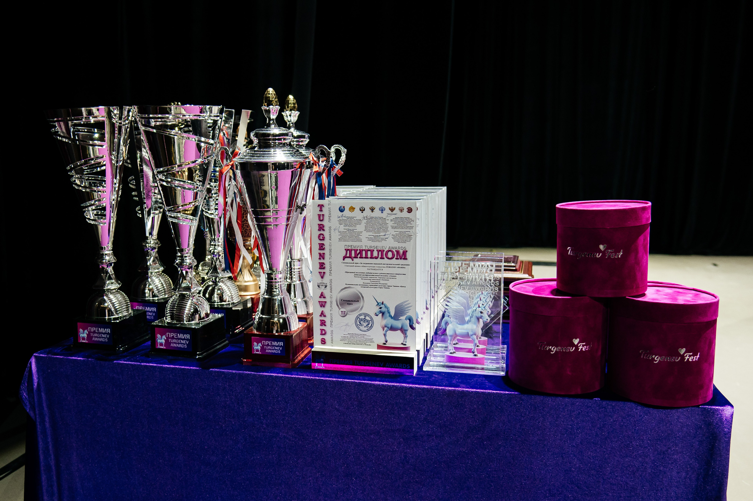 Всероссийская премия. Фотограф Виктория Ахметова Казань Москва