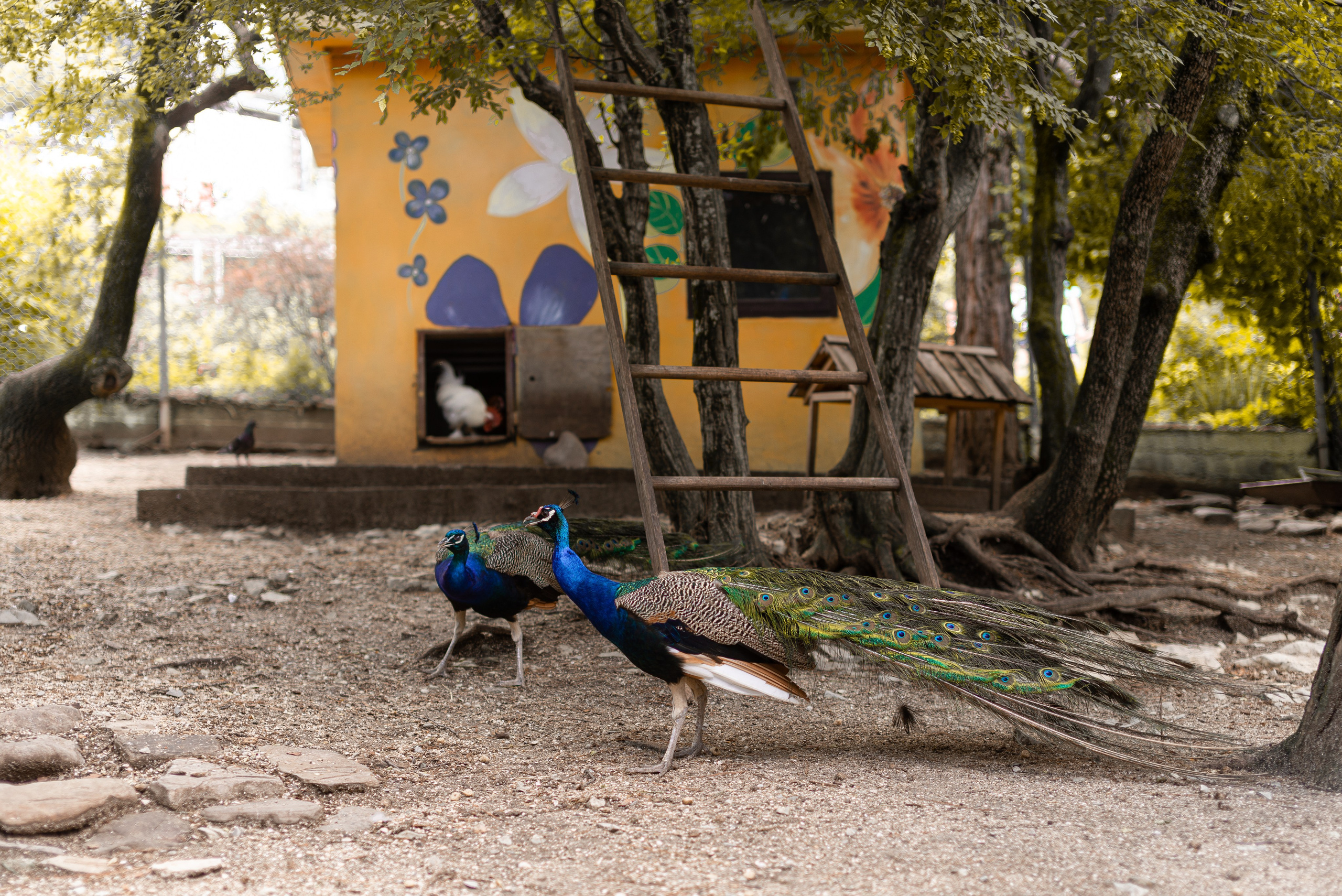 Июнь–Июль Отпуск Белореченск, Геленджик. Семейный, Свадебный фотограф СПБ Питер— Романова Екатерина