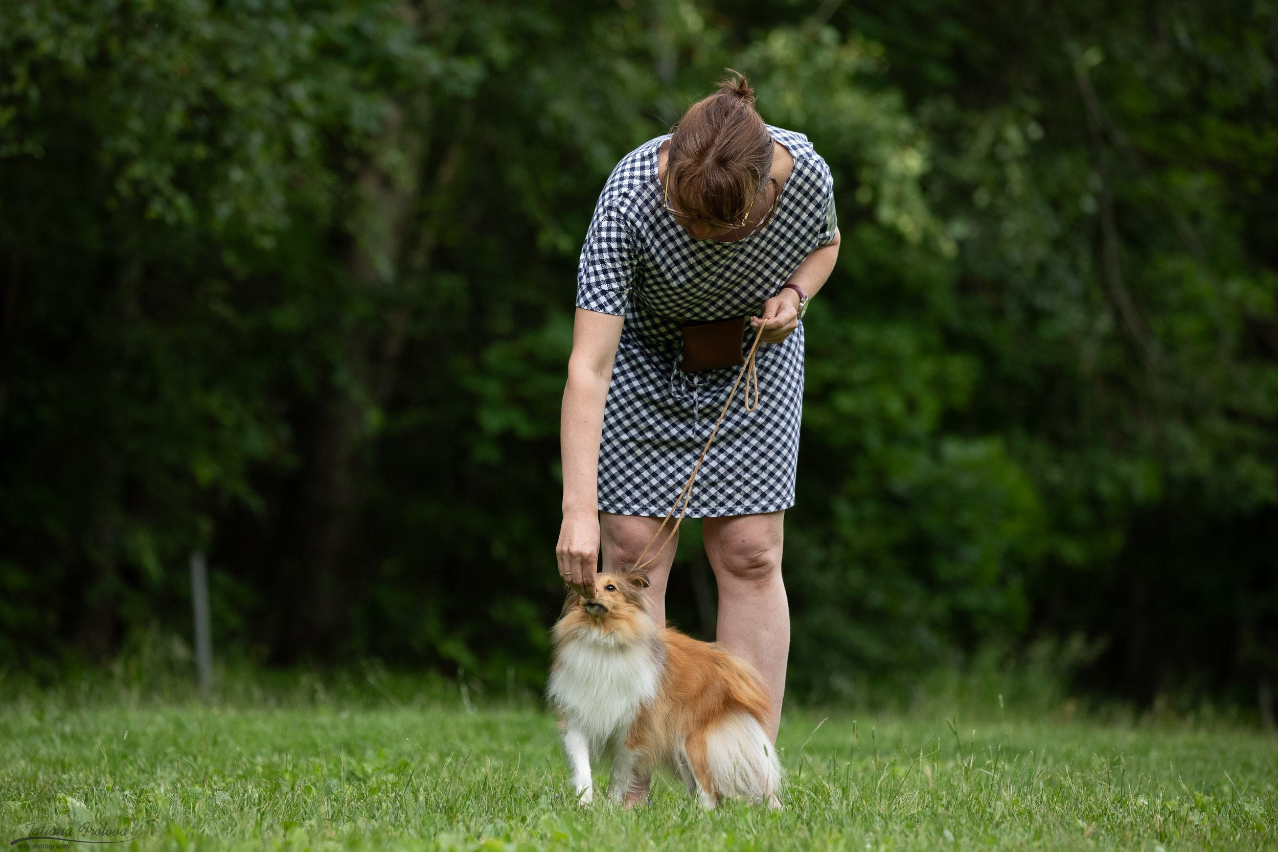Репортаж с выводки молодняка колли/шелти в Ясенево. Фотограф-анималист в Москве и Московской области Татьяна Фролова