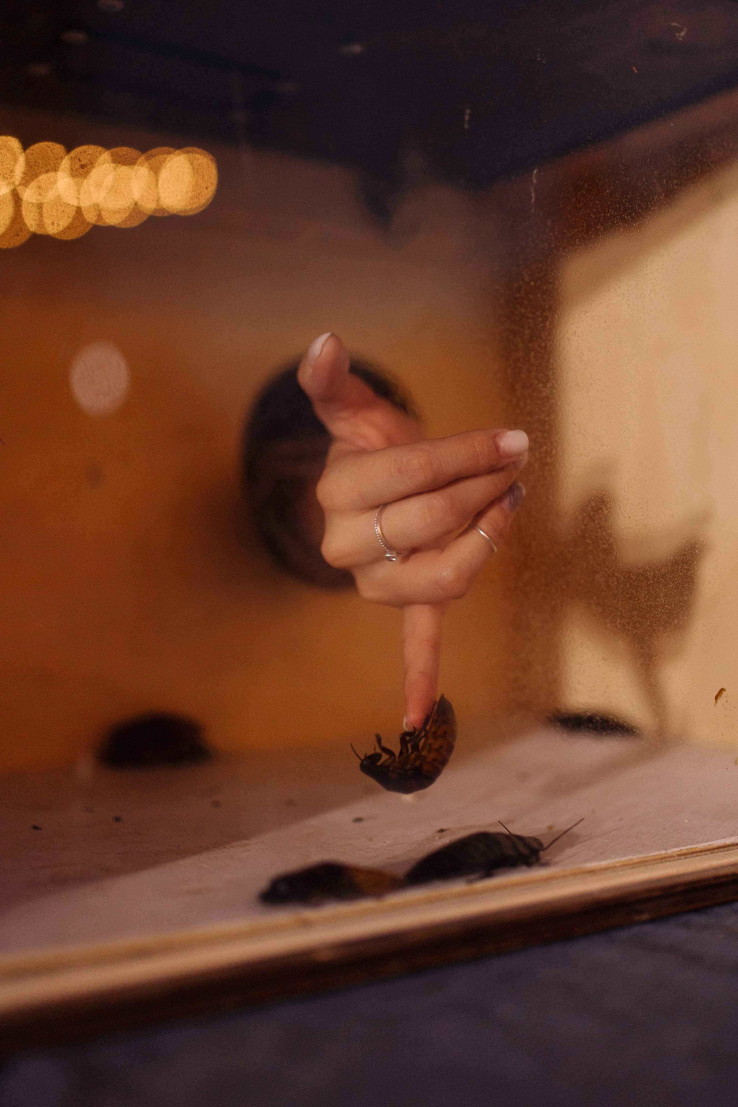 Свадебный репортаж. Свадебный и Репортажный фотограф Александр Шаров