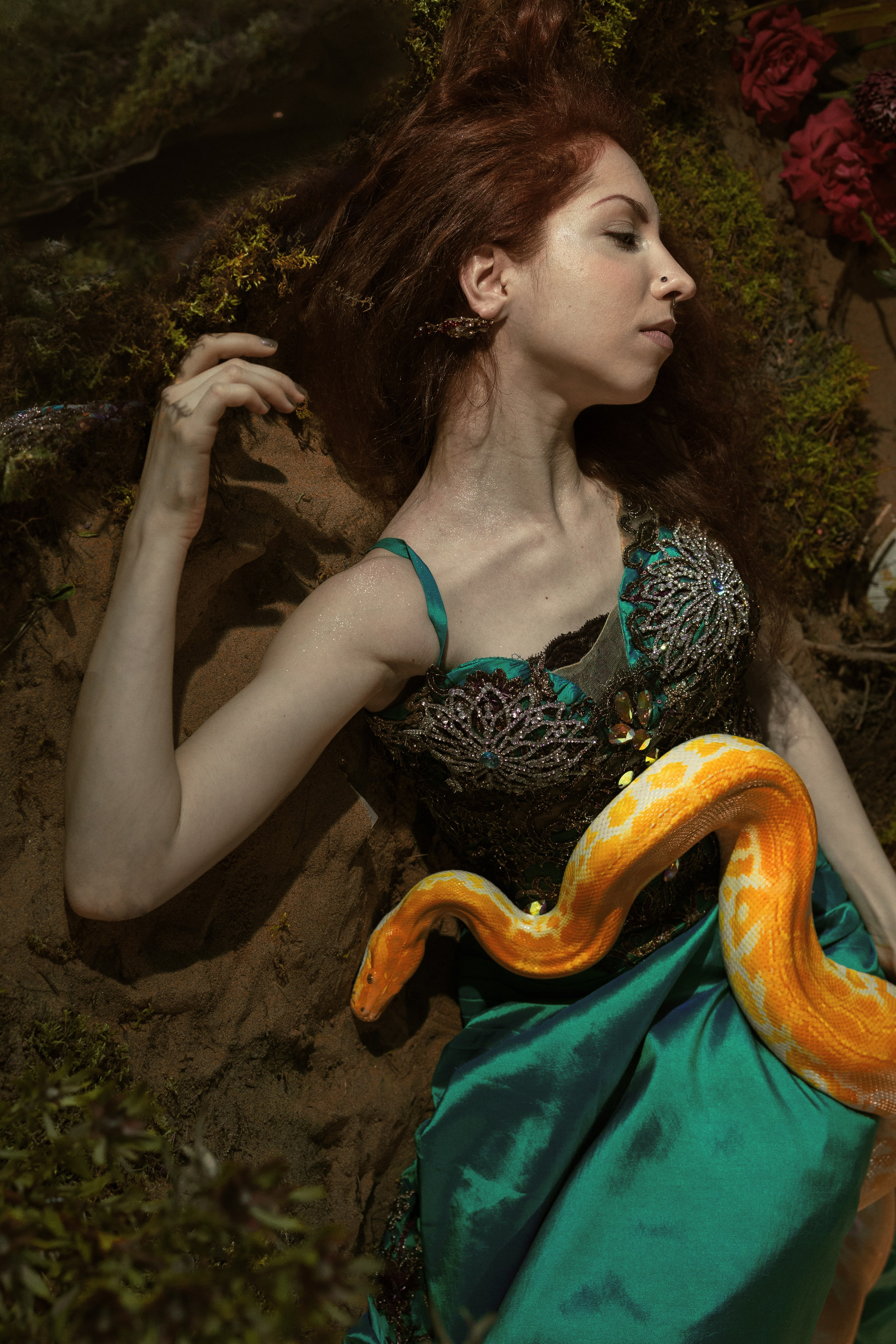 Спящая красавица