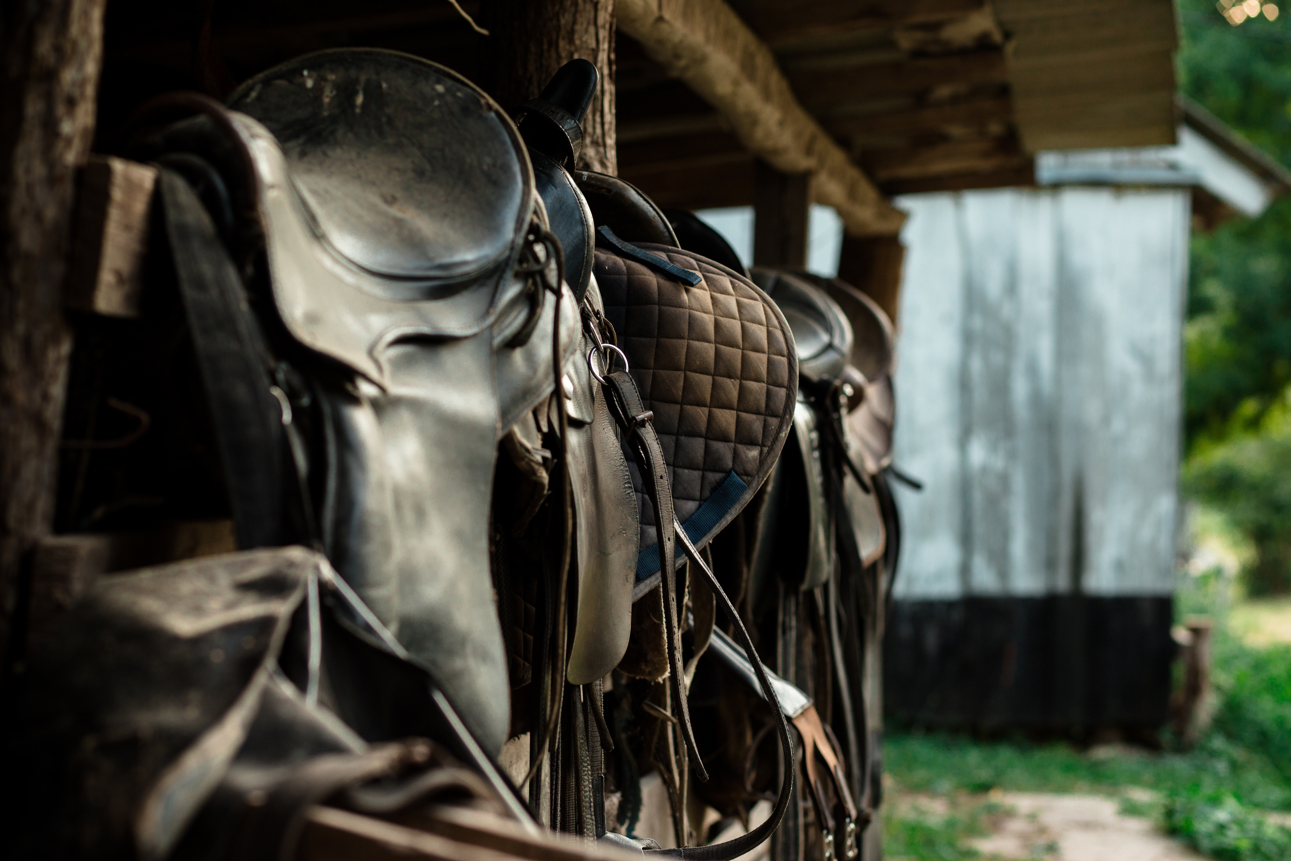 Семья. Семейный фотограф, свадебный фотограф, детский фотограф в Краснодаре А