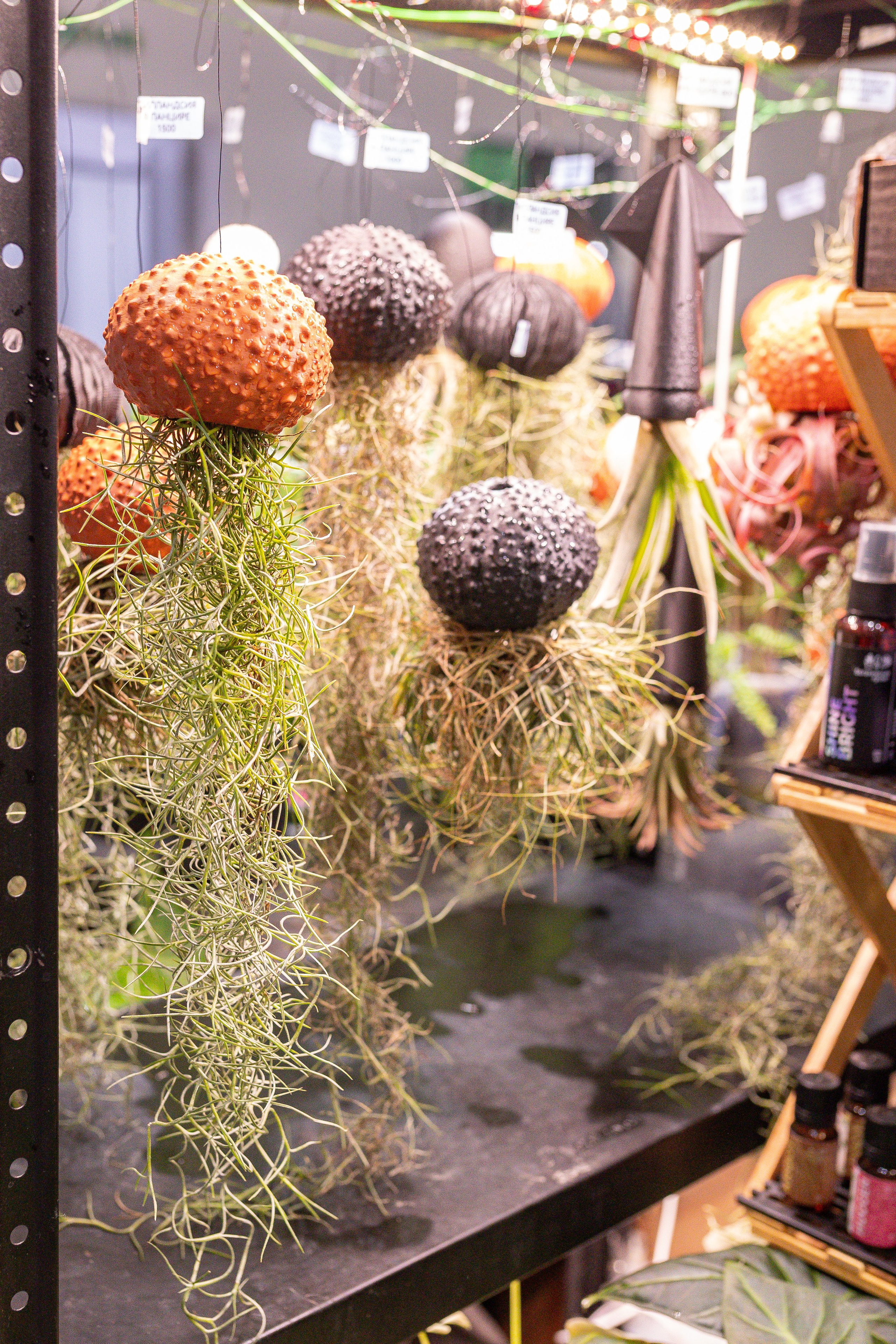 Монстериум 11–12 октября. Александра Куликова фотограф, Москва