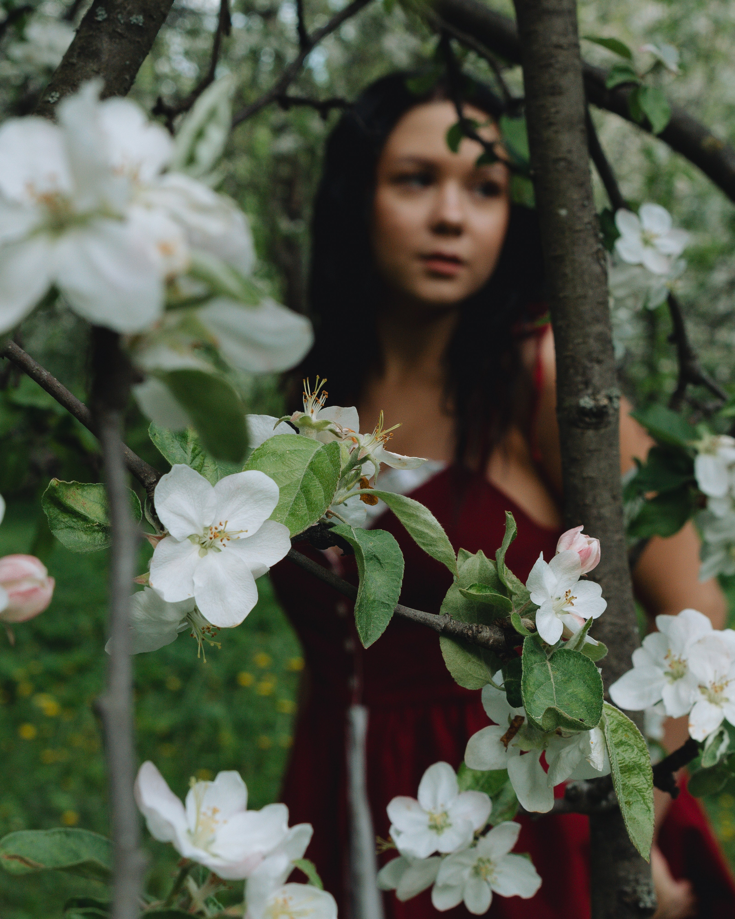 Анастасия. Фотограф в Москве Шалышко Ангелина