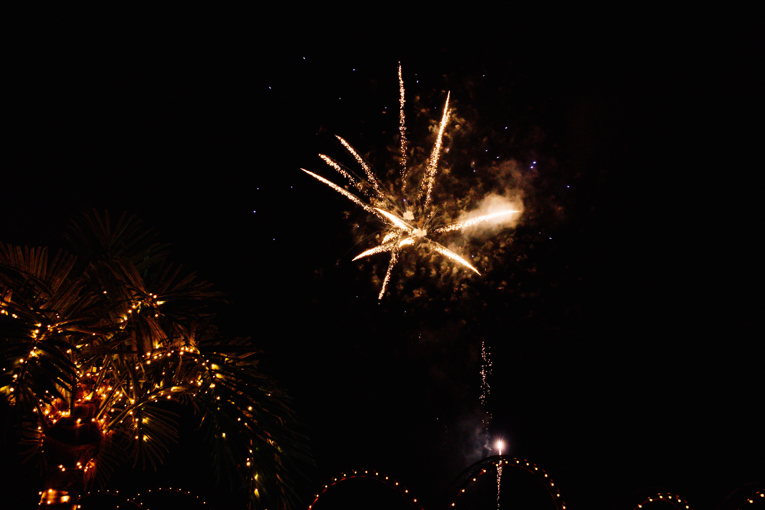 New Year Chaika 2021Yalta. Nadezhdin Studio