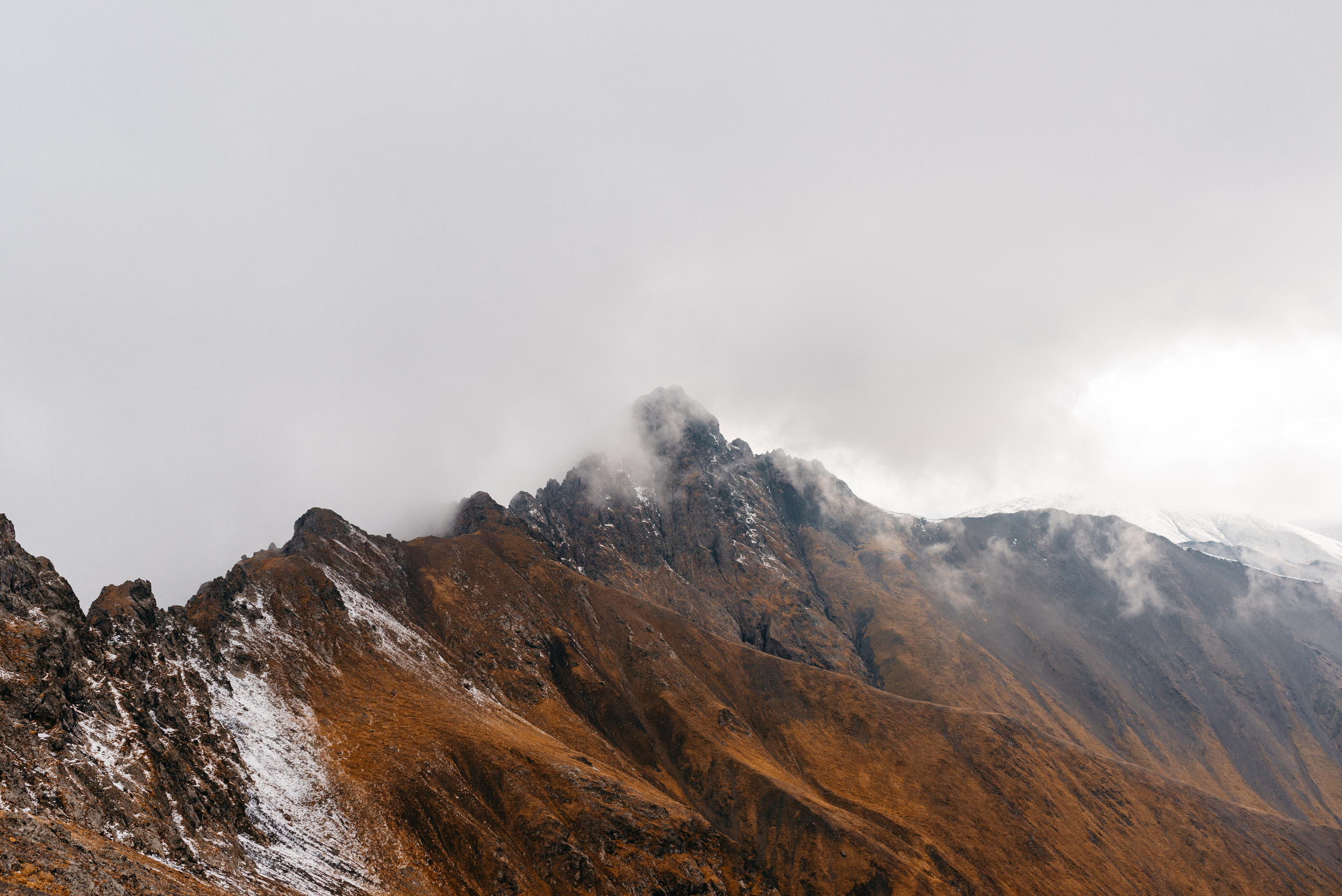 Трэвел. Nadezhdin Studio