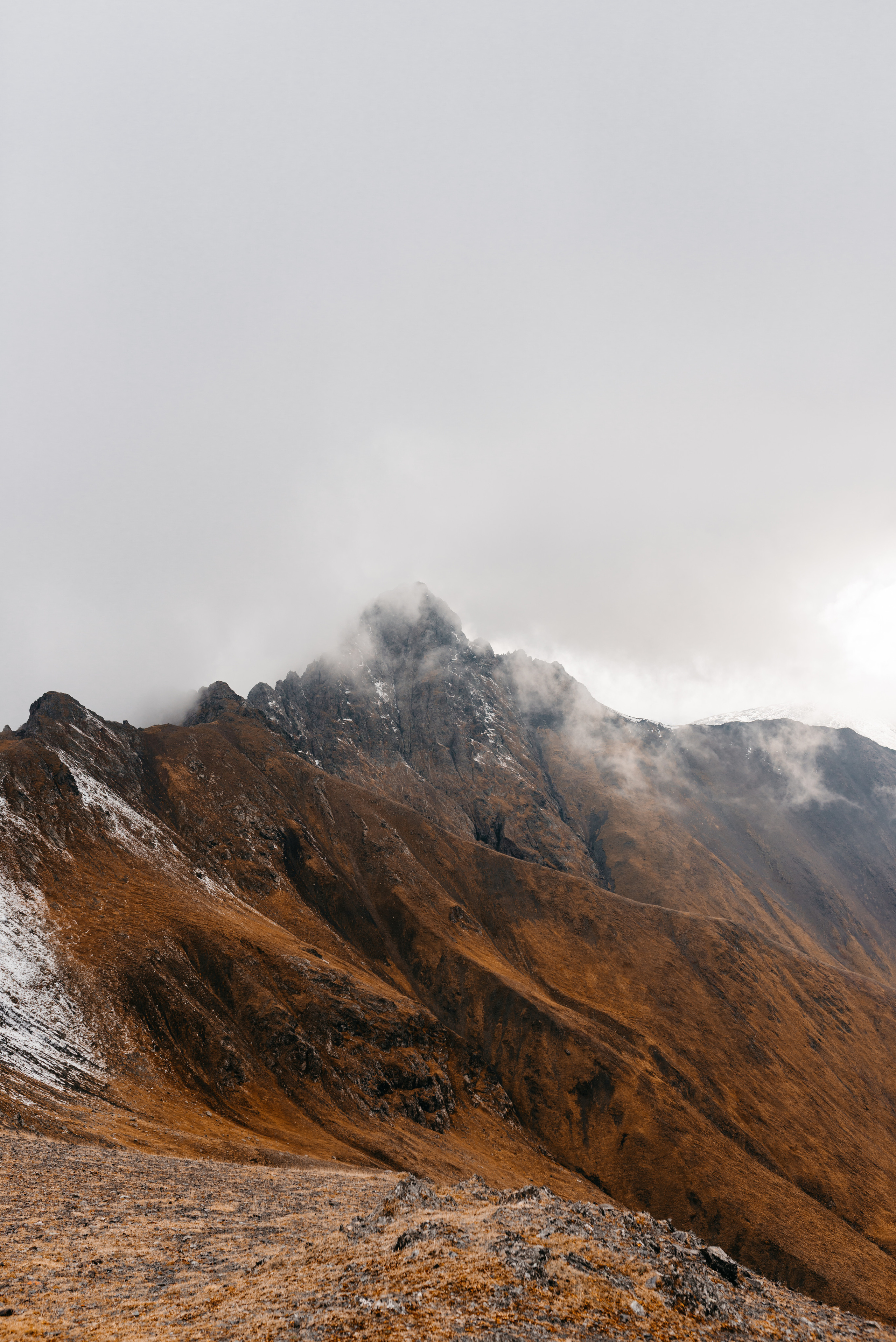 Трэвел. Nadezhdin Studio