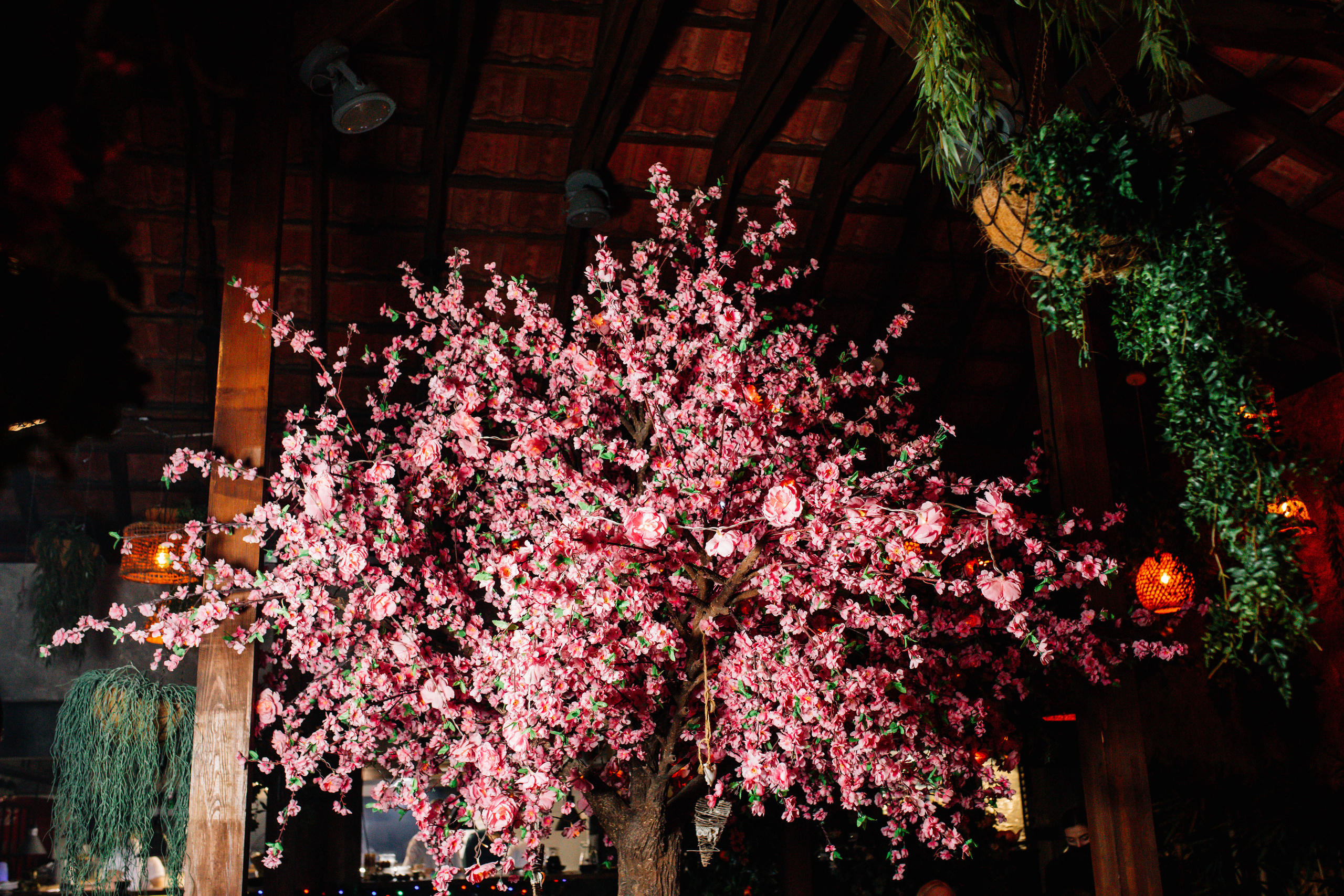 New Year Chaika 2021Yalta. Nadezhdin Studio