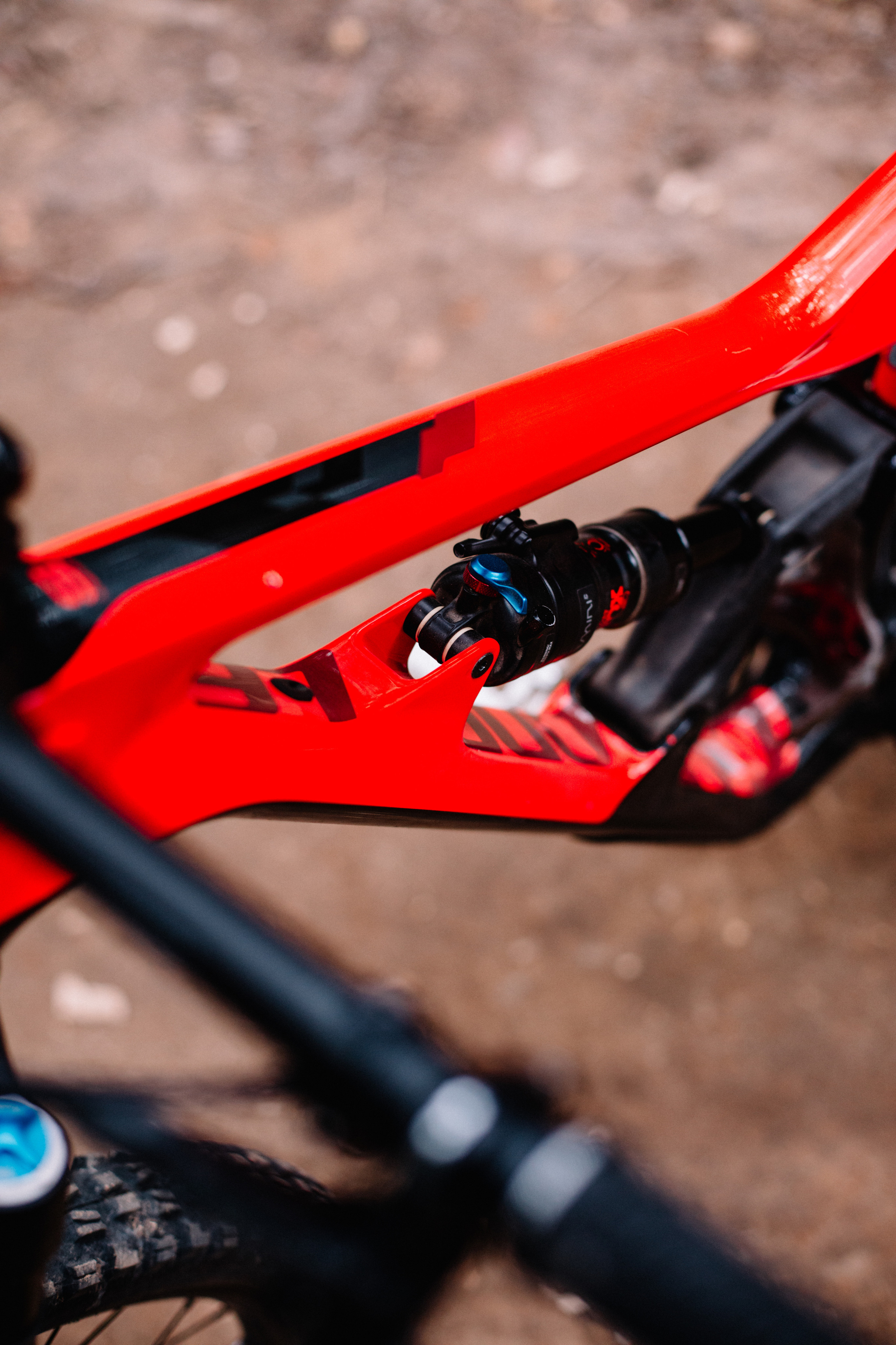 Dirt & Mtb. Nadezhdin Studio