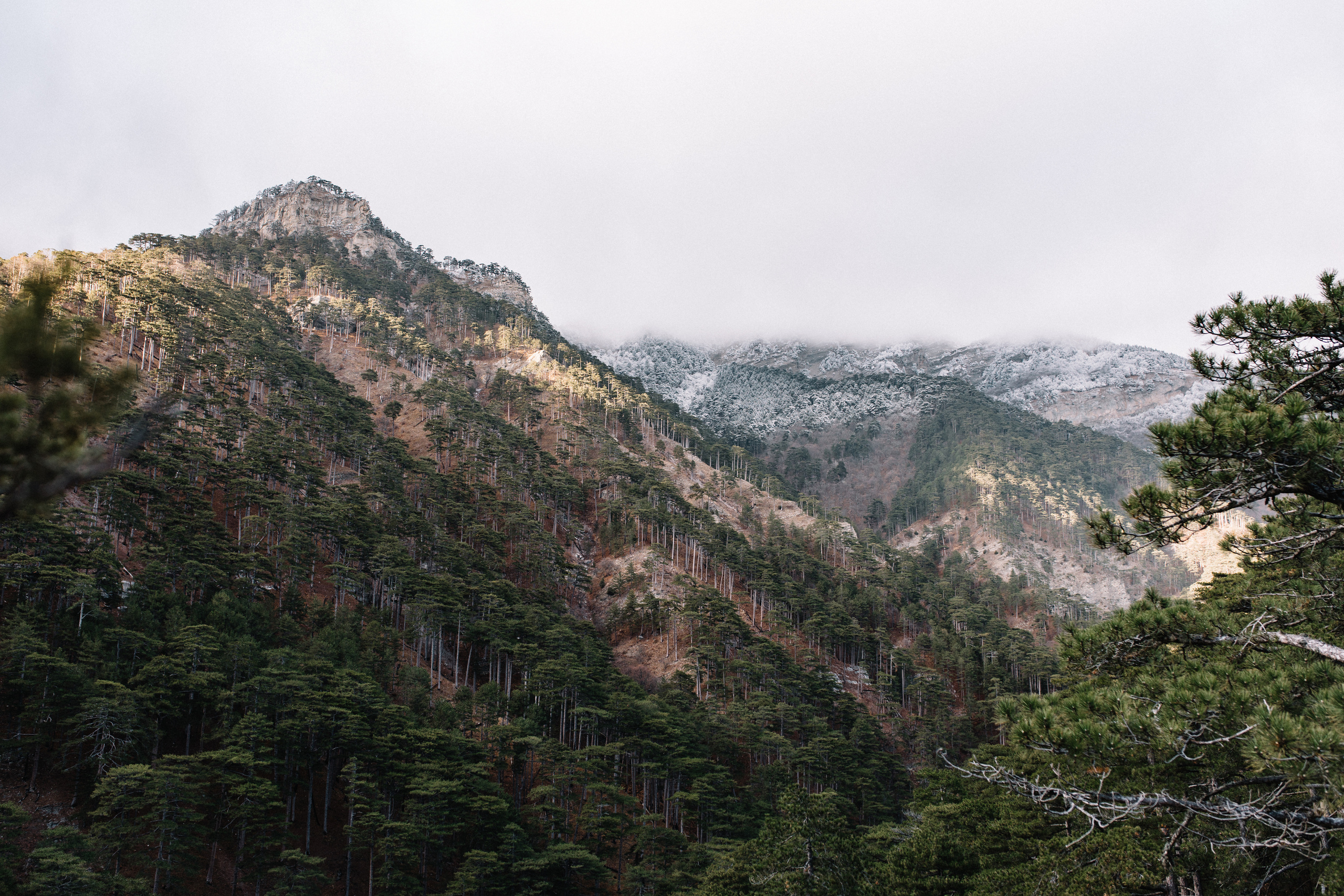 Трэвел. Nadezhdin Studio