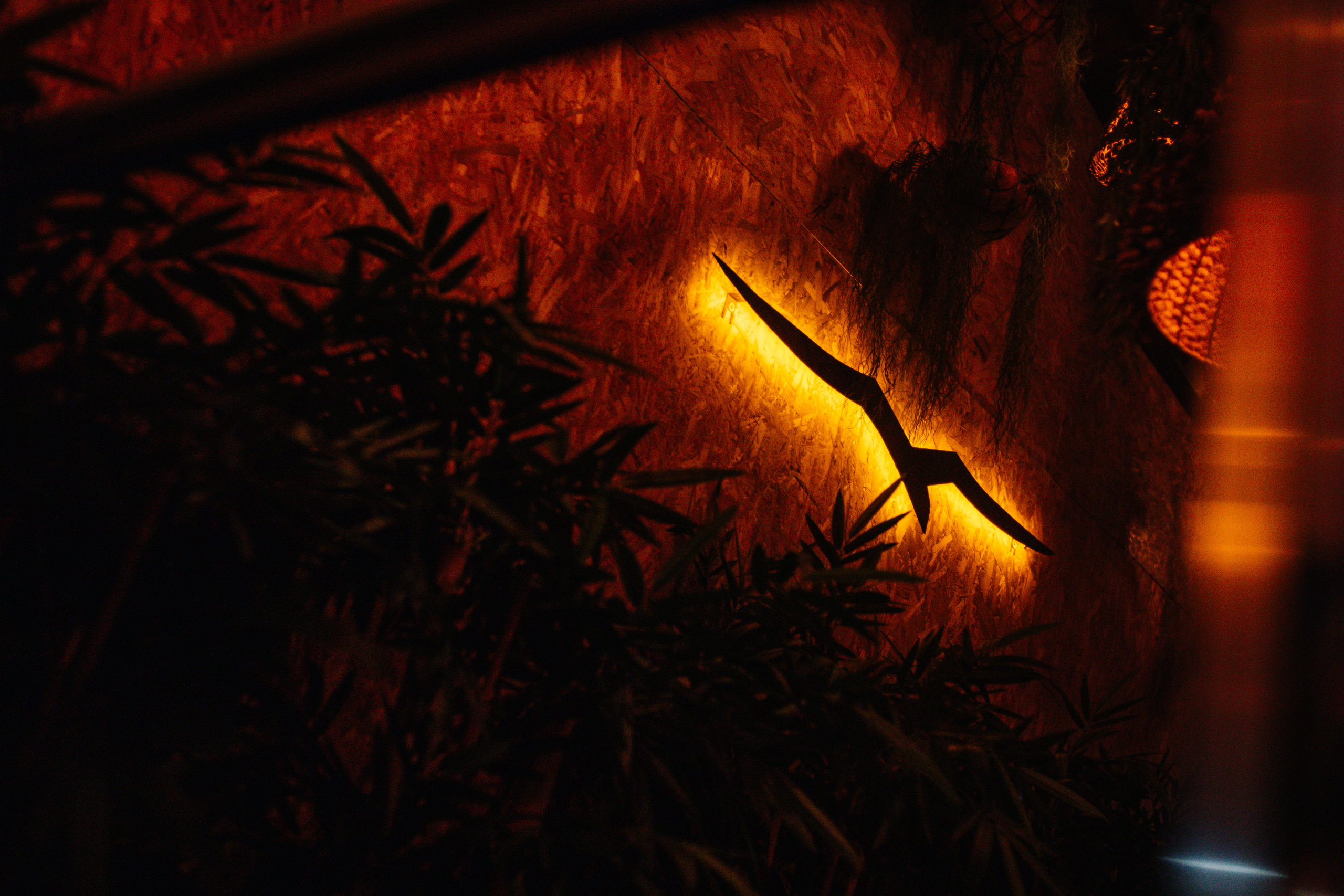 New Year Chaika 2021Yalta. Nadezhdin Studio