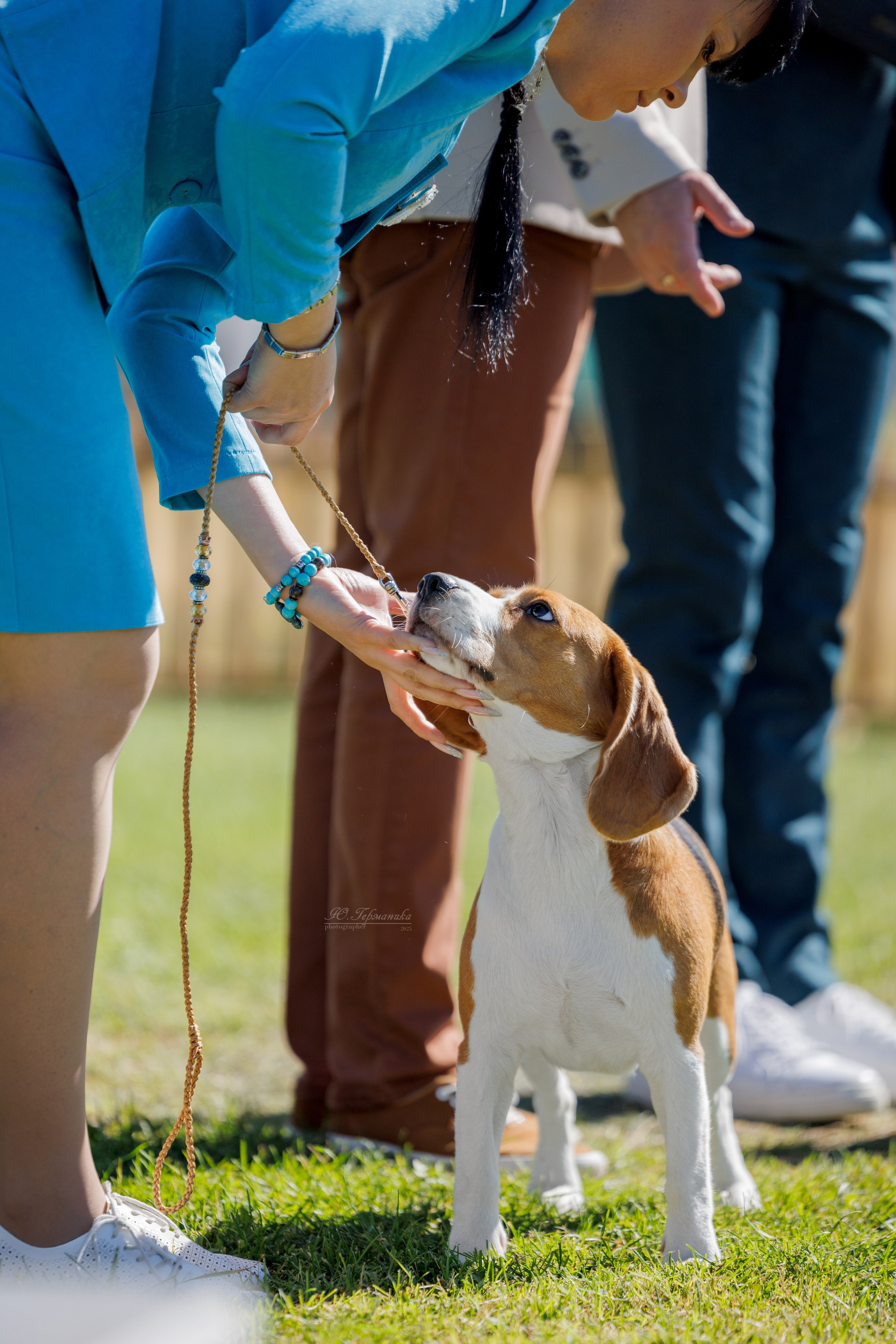 Ереван 14-16.10.2025. Фотограф-анималист Юлия Германика