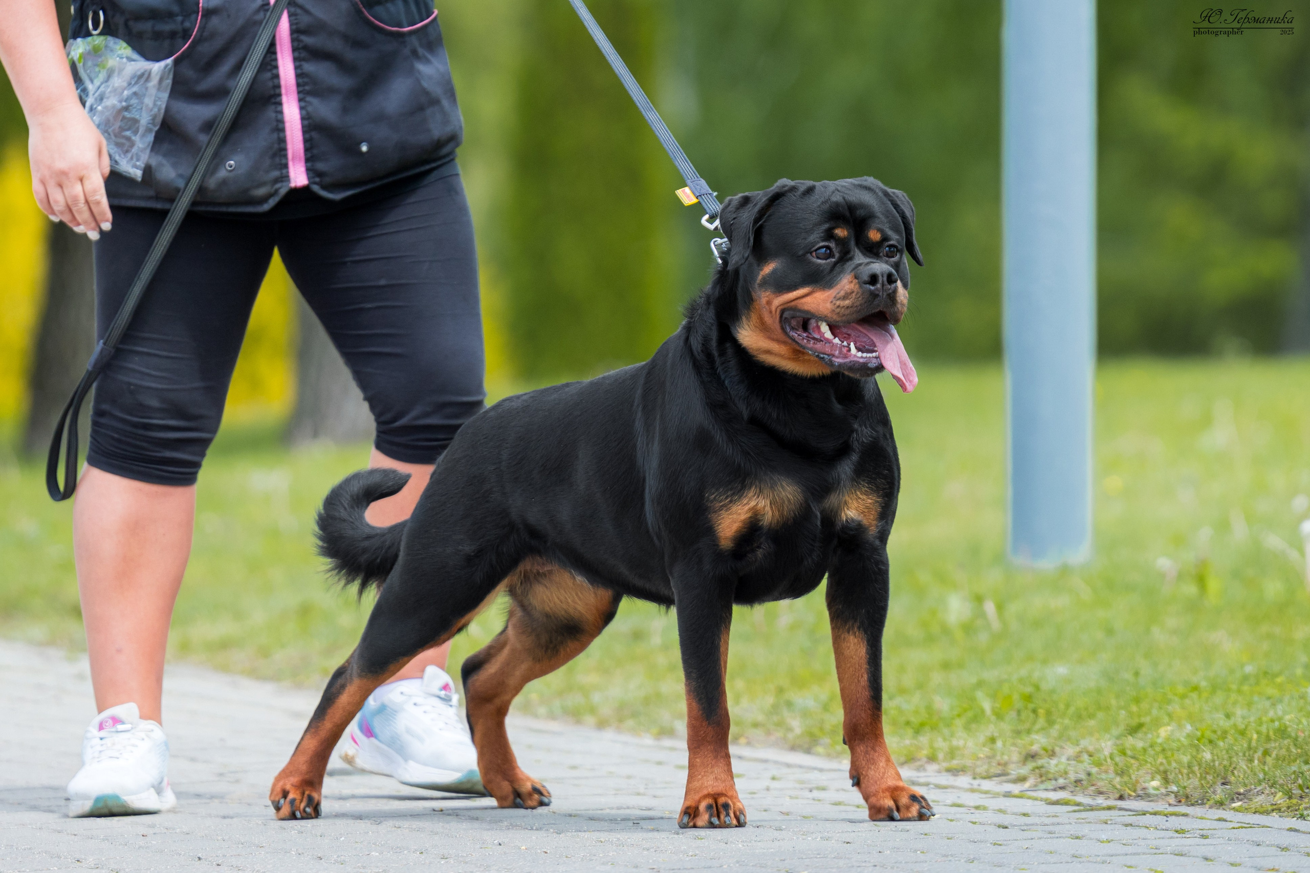 Минск 31.05-1.06.2025. Фотограф-анималист Юлия Германика