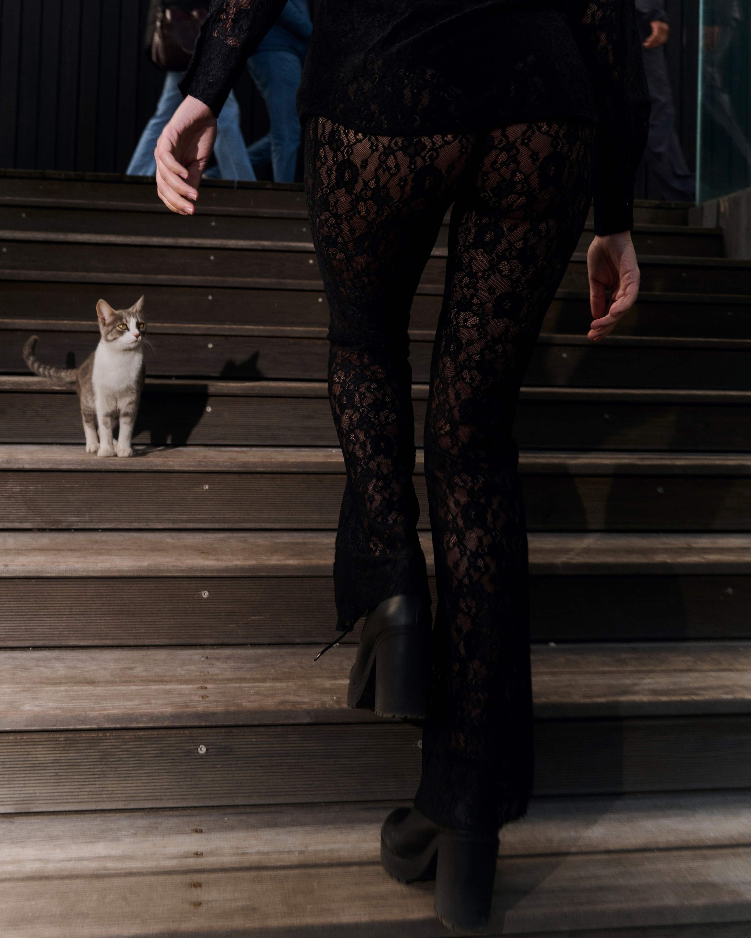 Julia. Z H U R A V L E V