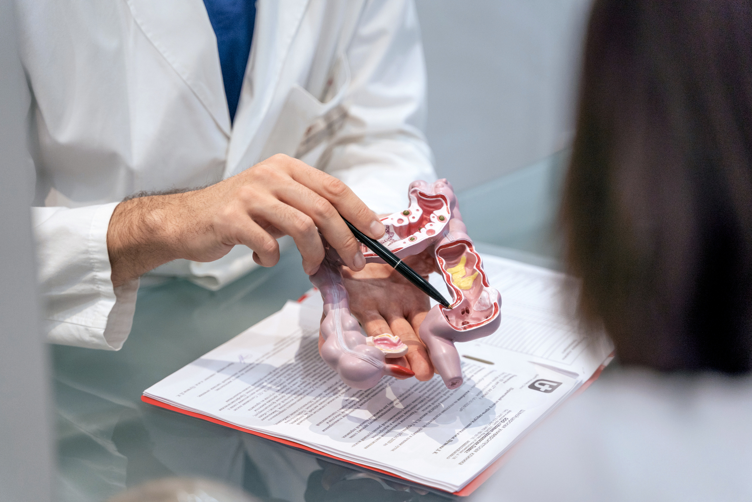 Doctor. Forograf|Skåne|Ängelholm