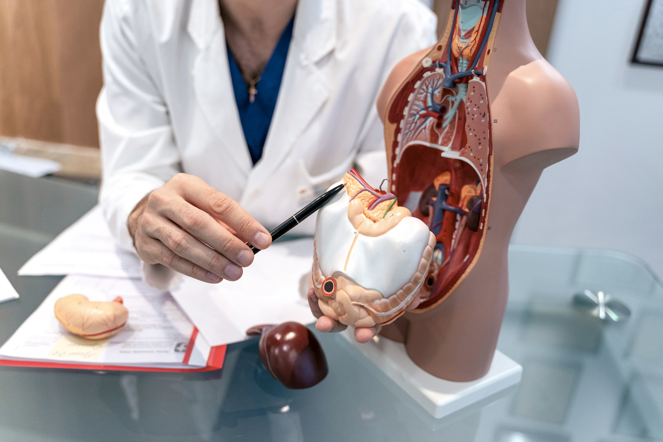 Doctor. Forograf|Skåne|Ängelholm