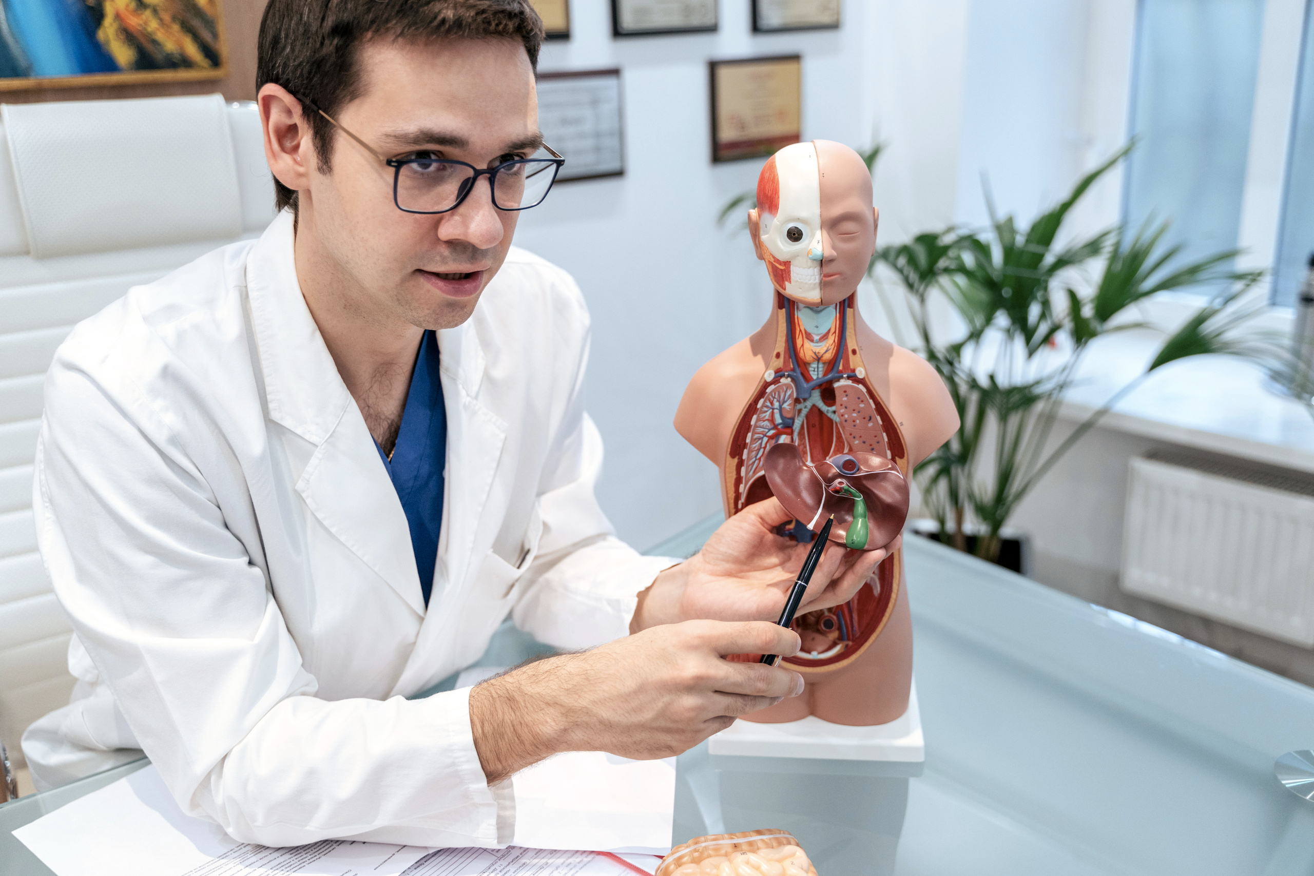 Doctor. Forograf|Skåne|Ängelholm