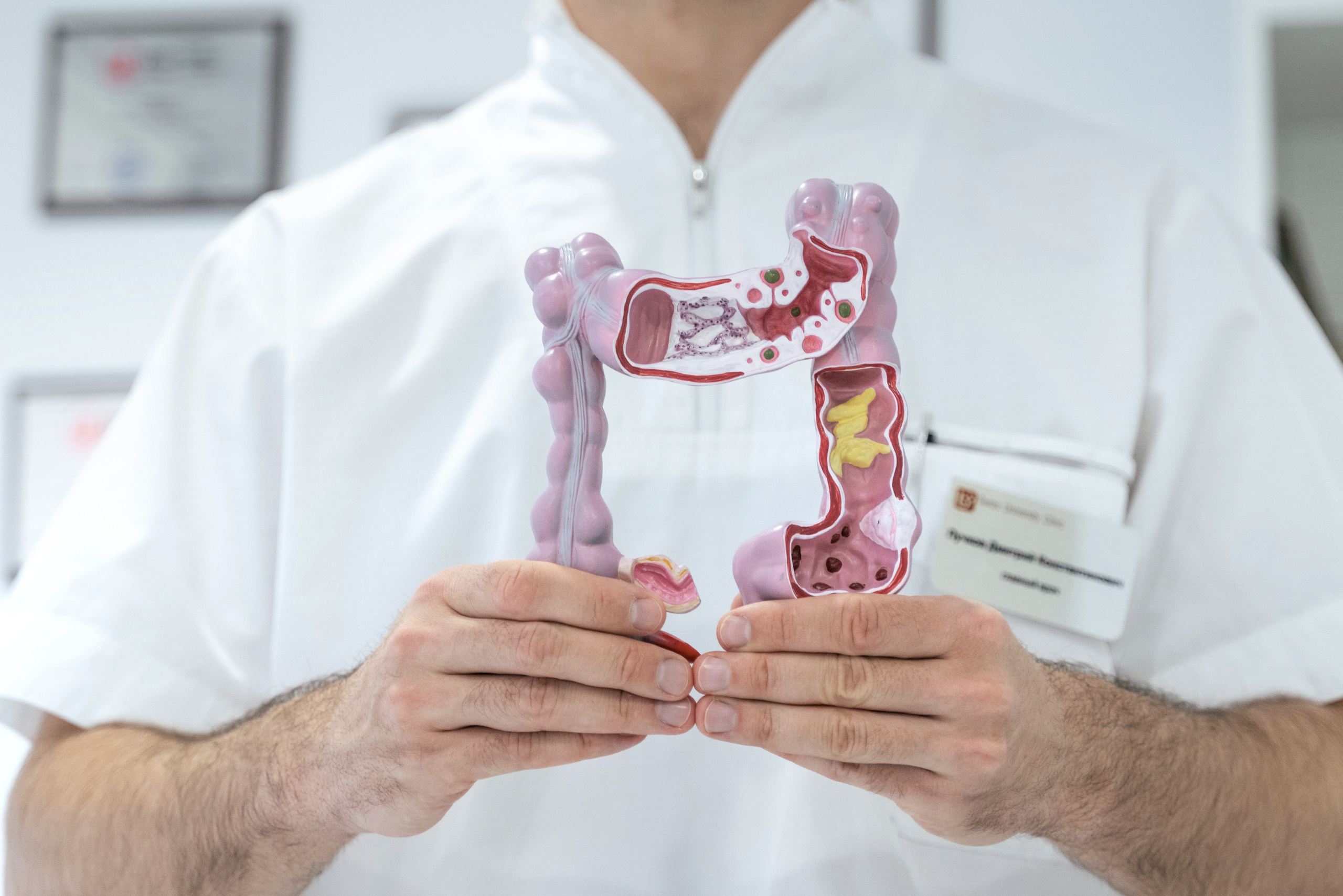 Doctor. Forograf|Skåne|Ängelholm