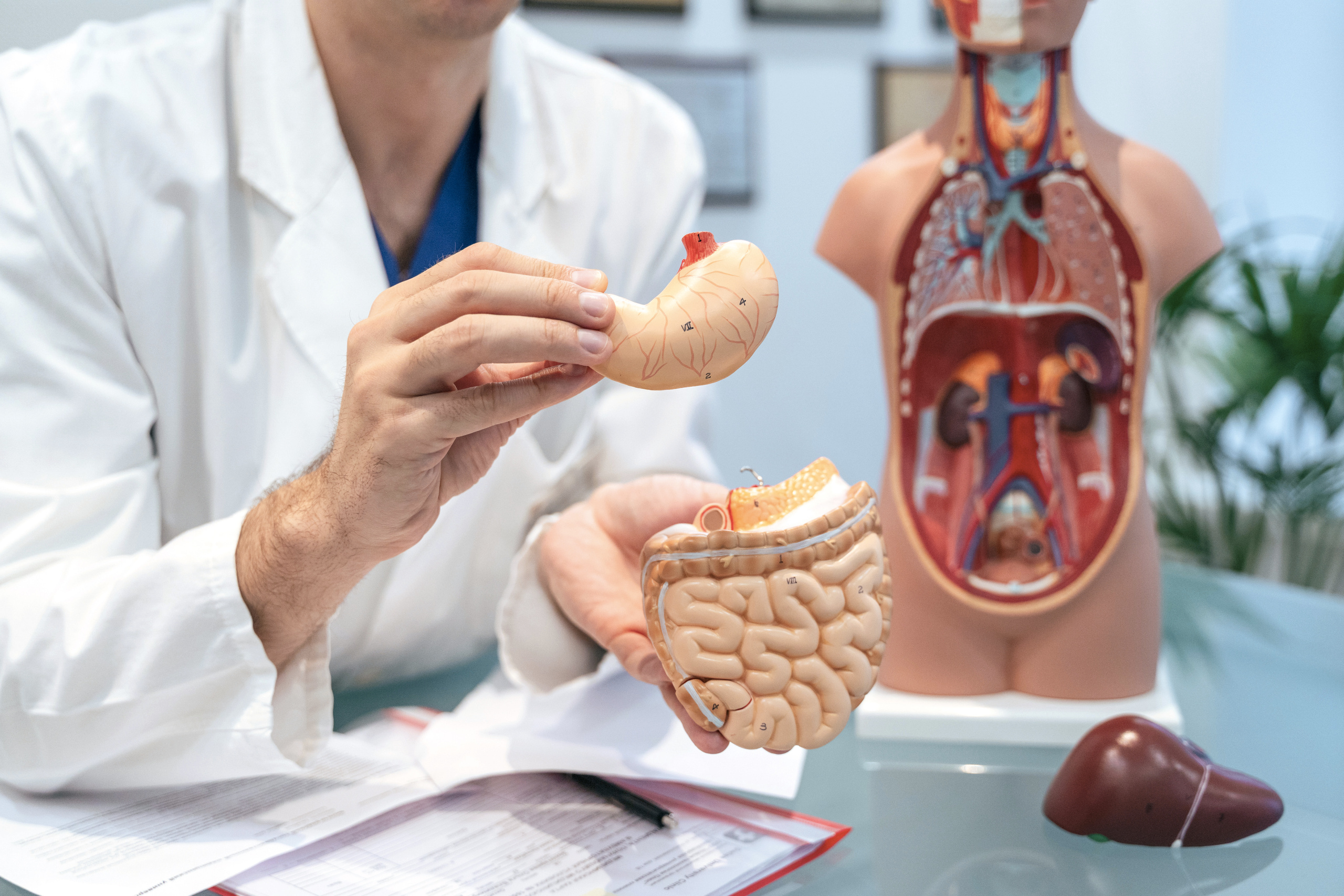 Doctor. Forograf|Skåne|Ängelholm