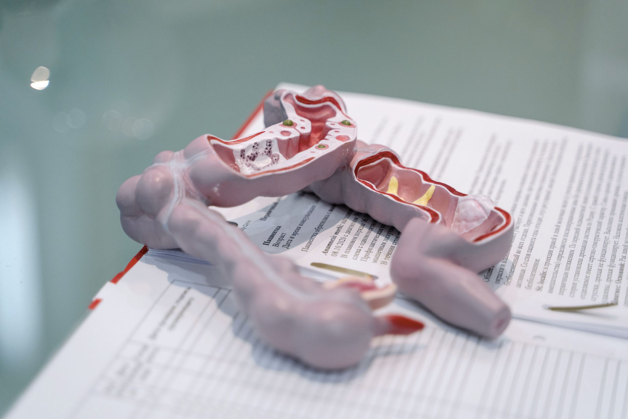 Doctor. Forograf|Skåne|Ängelholm