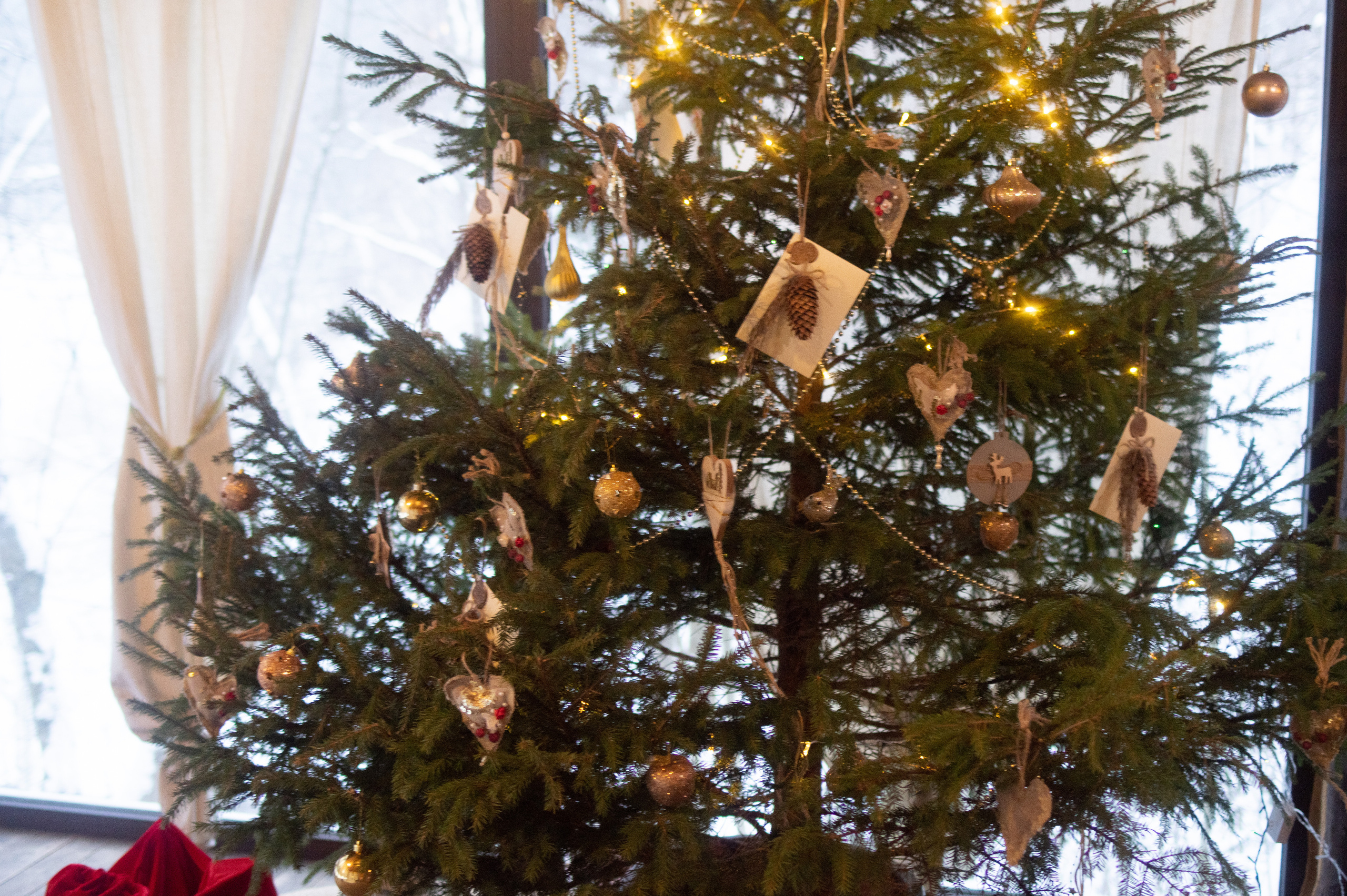 #воронцовскиесезоны ЗИМНИЙ BRUNCH. Фотограф Светлана Воронцова