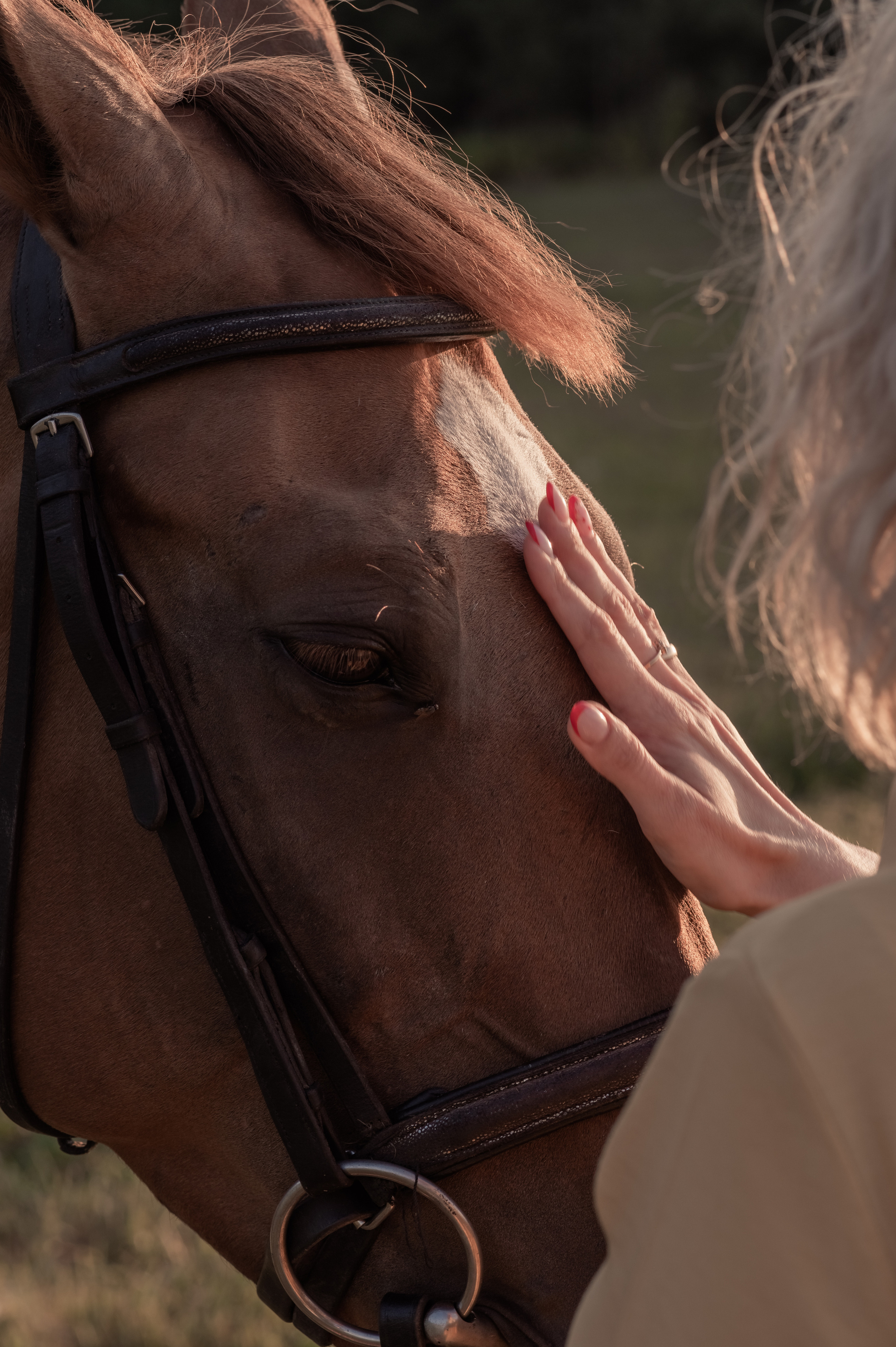 #воронцовскиесезоны ЛЕТНИЙ BRUNCH. Фотограф Светлана Воронцова