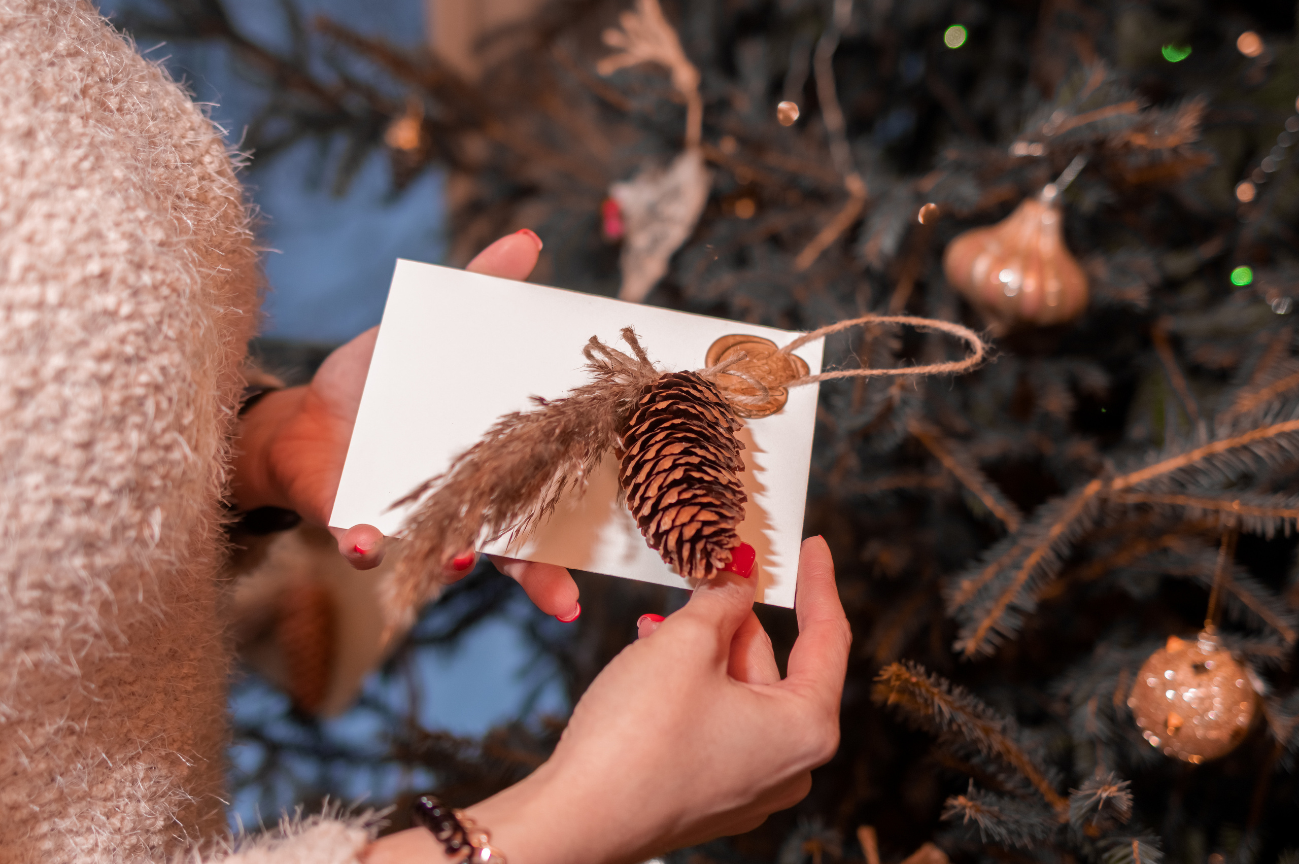 #воронцовскиесезоны ЗИМНИЙ BRUNCH. Фотограф Светлана Воронцова