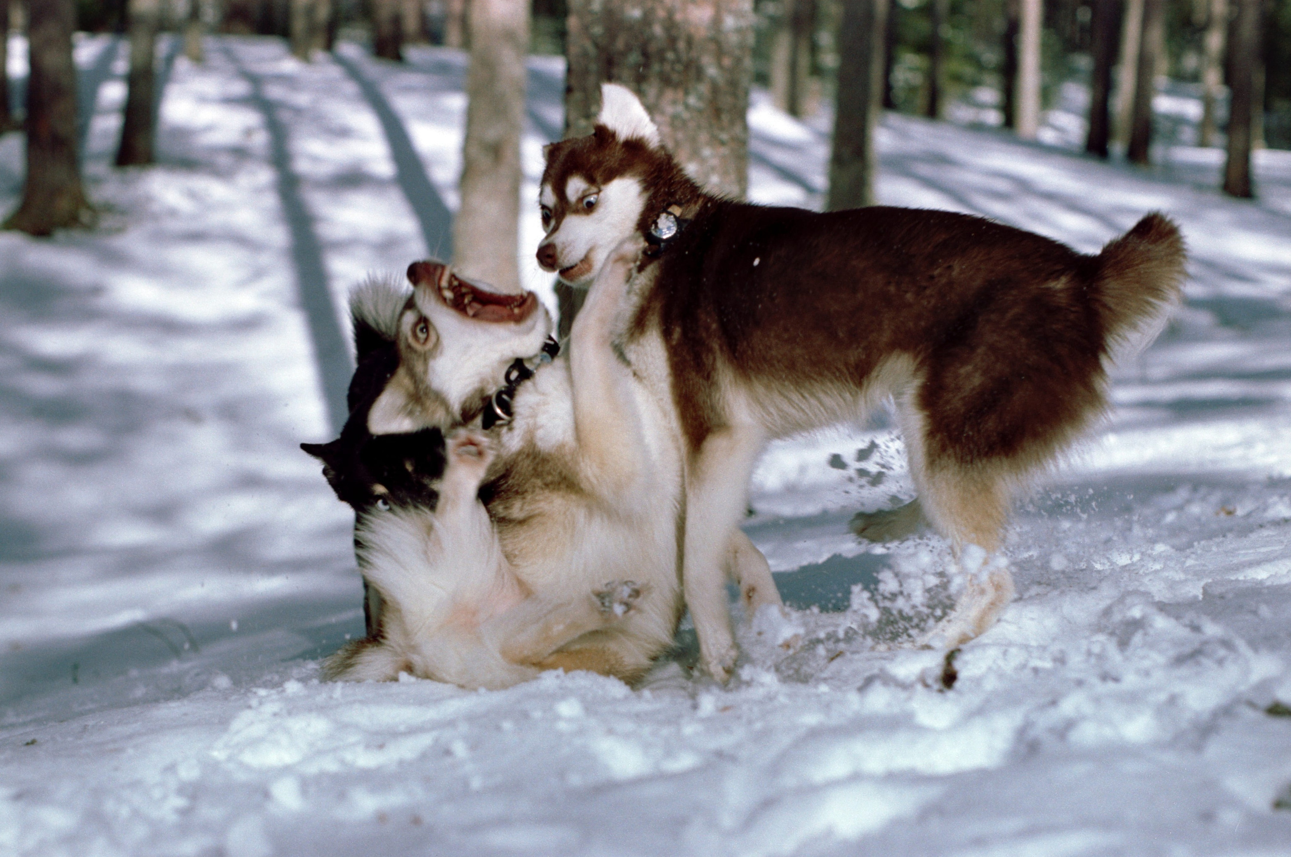 W. Стилист и плёночный фотограф Анастасия Шлокова в Санкт-Петербурге и Москве