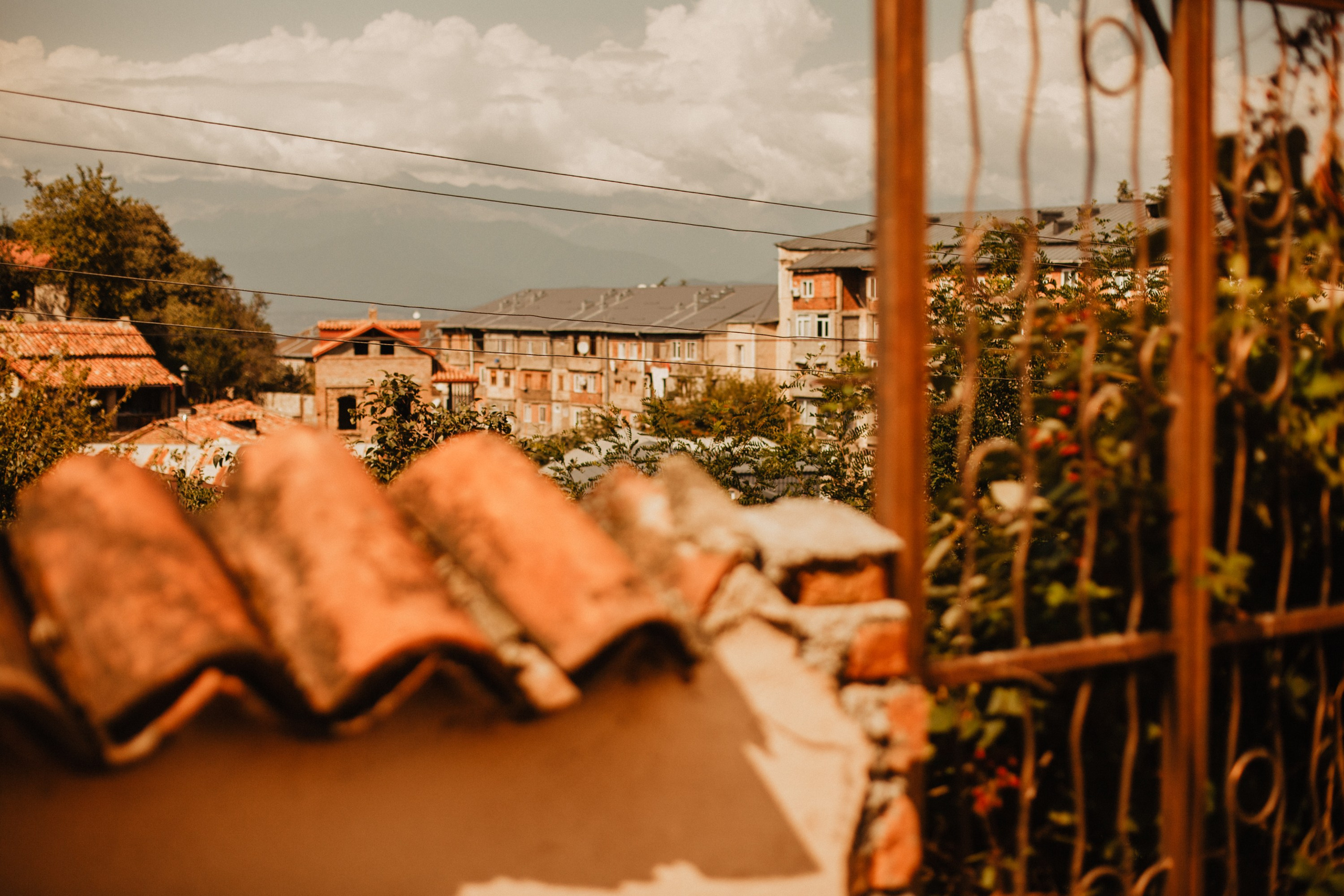 Грузинские каникулы. Violetta Skripka