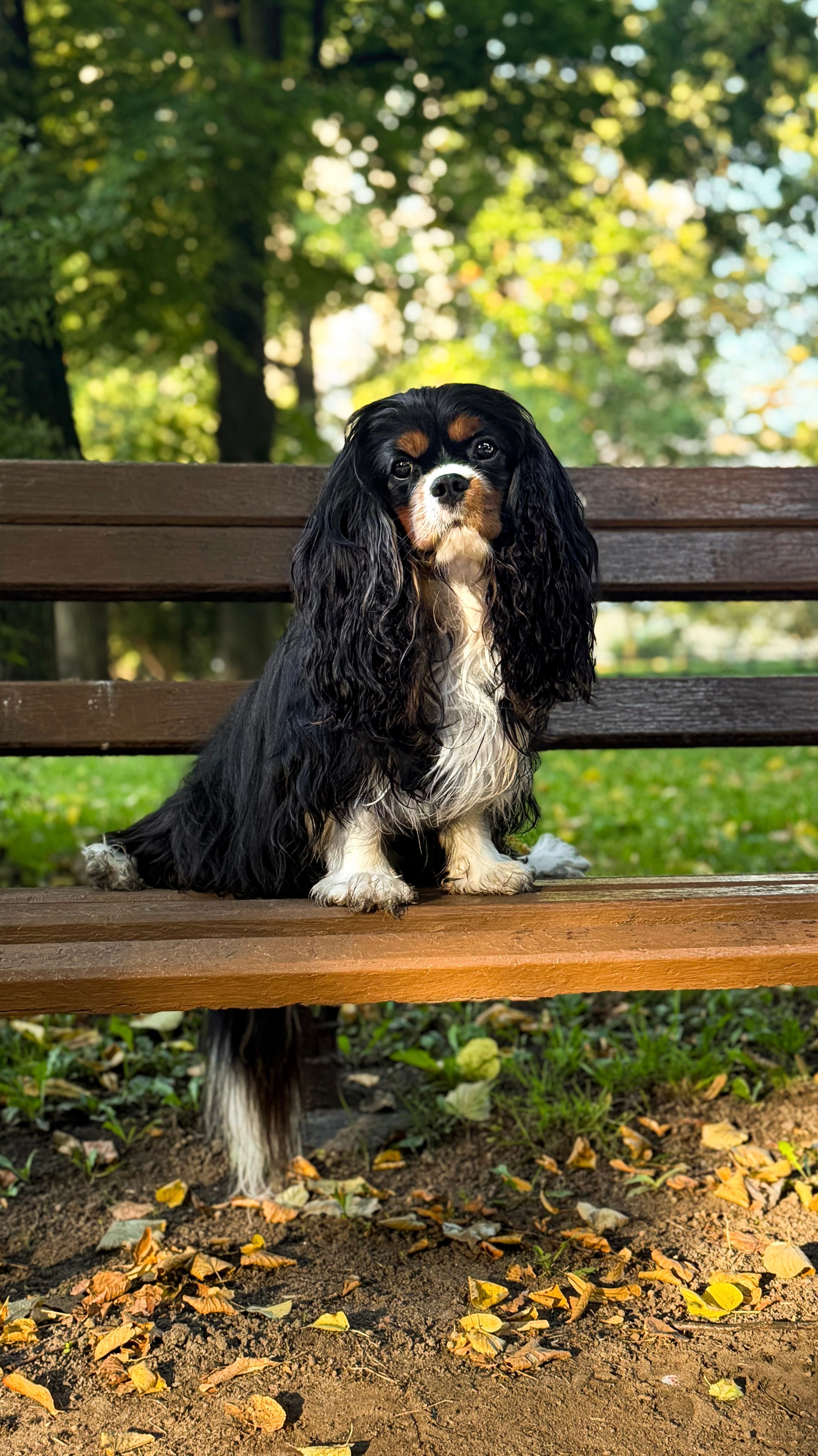 Зверье. Elnora Atnagulova Foodphotography