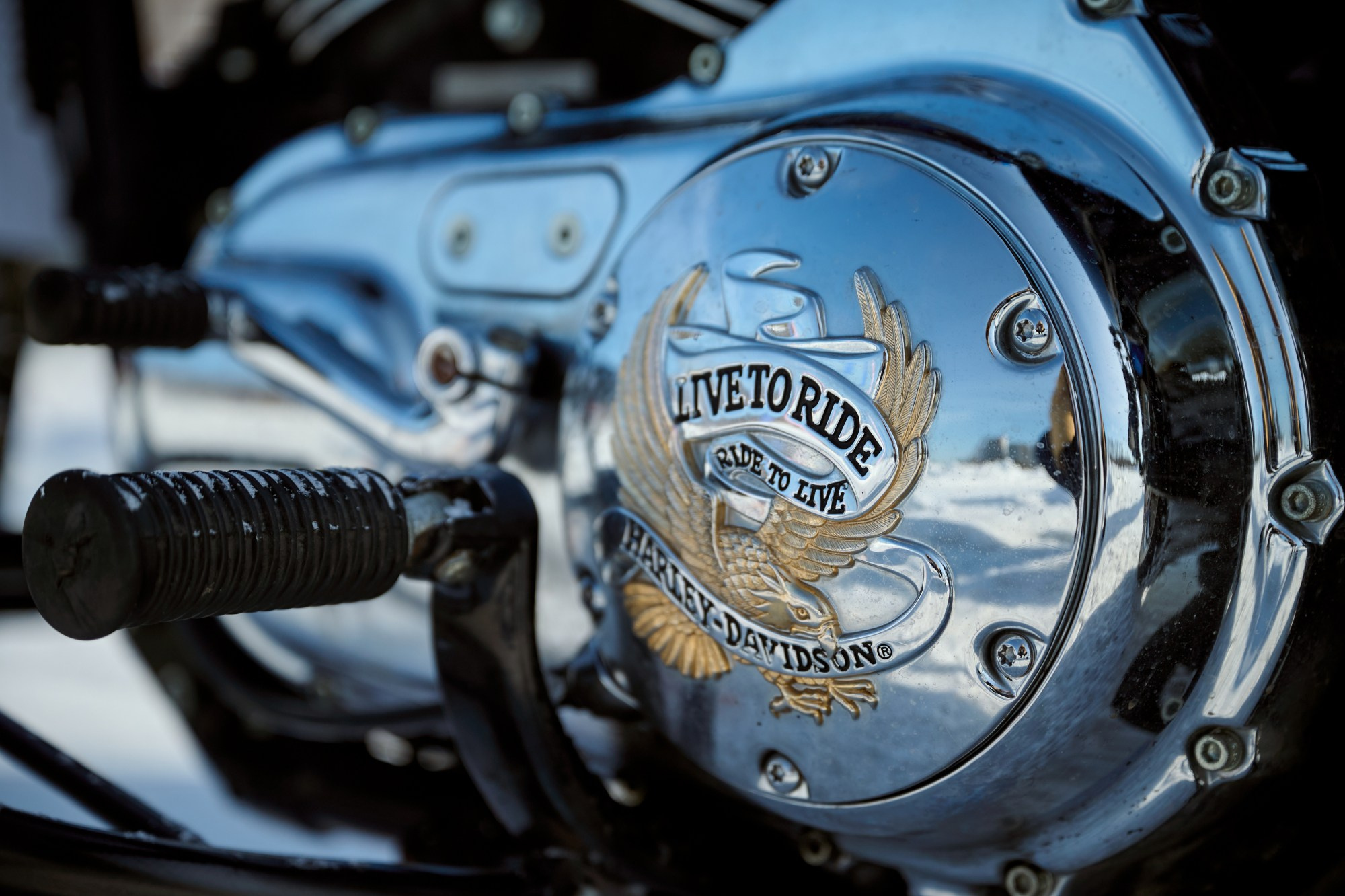 H.O.G. Winter Challenge 2024. Мезенцев Евгений фотограф