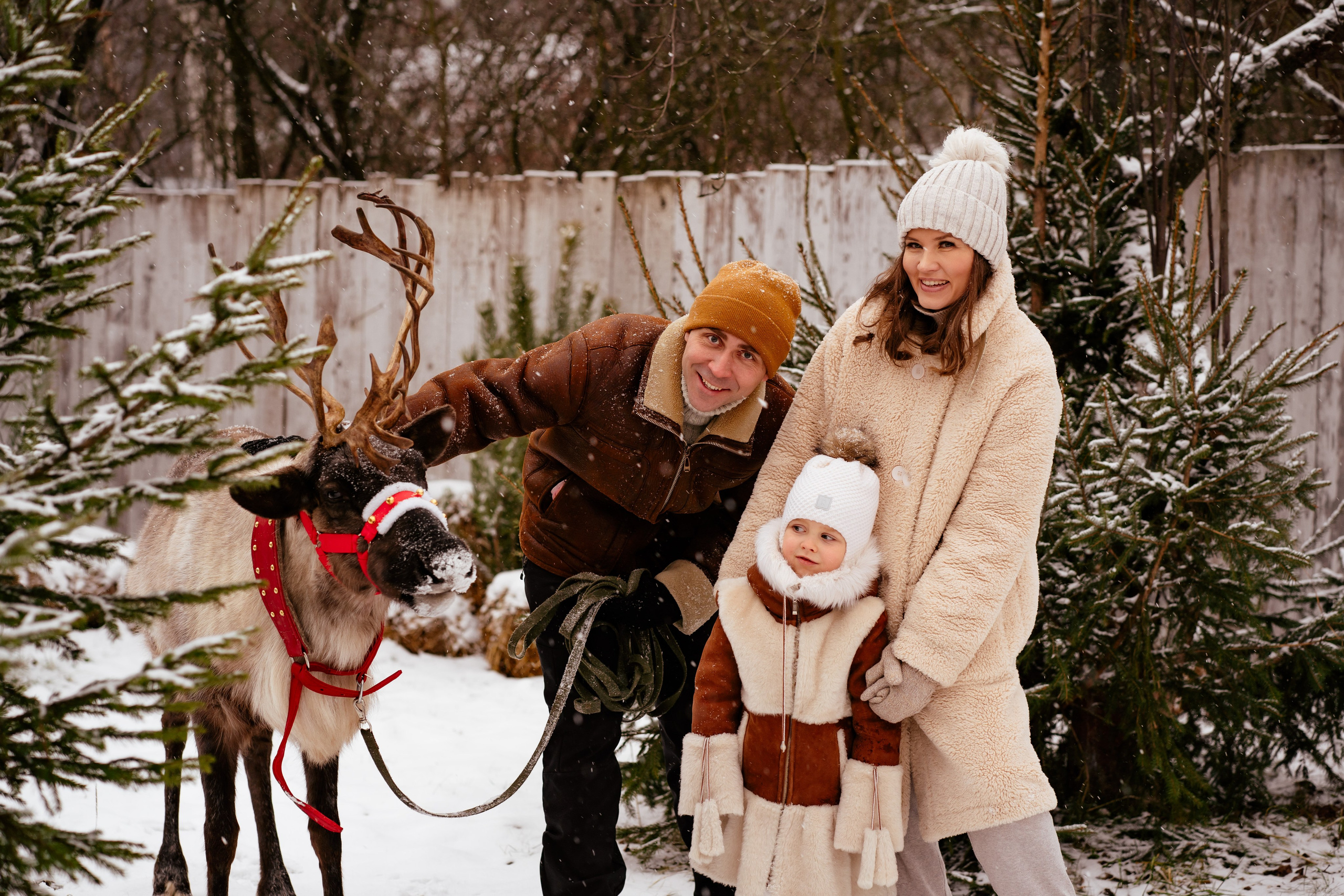 Фотодача «Калина» зима/новый год. Мои работы