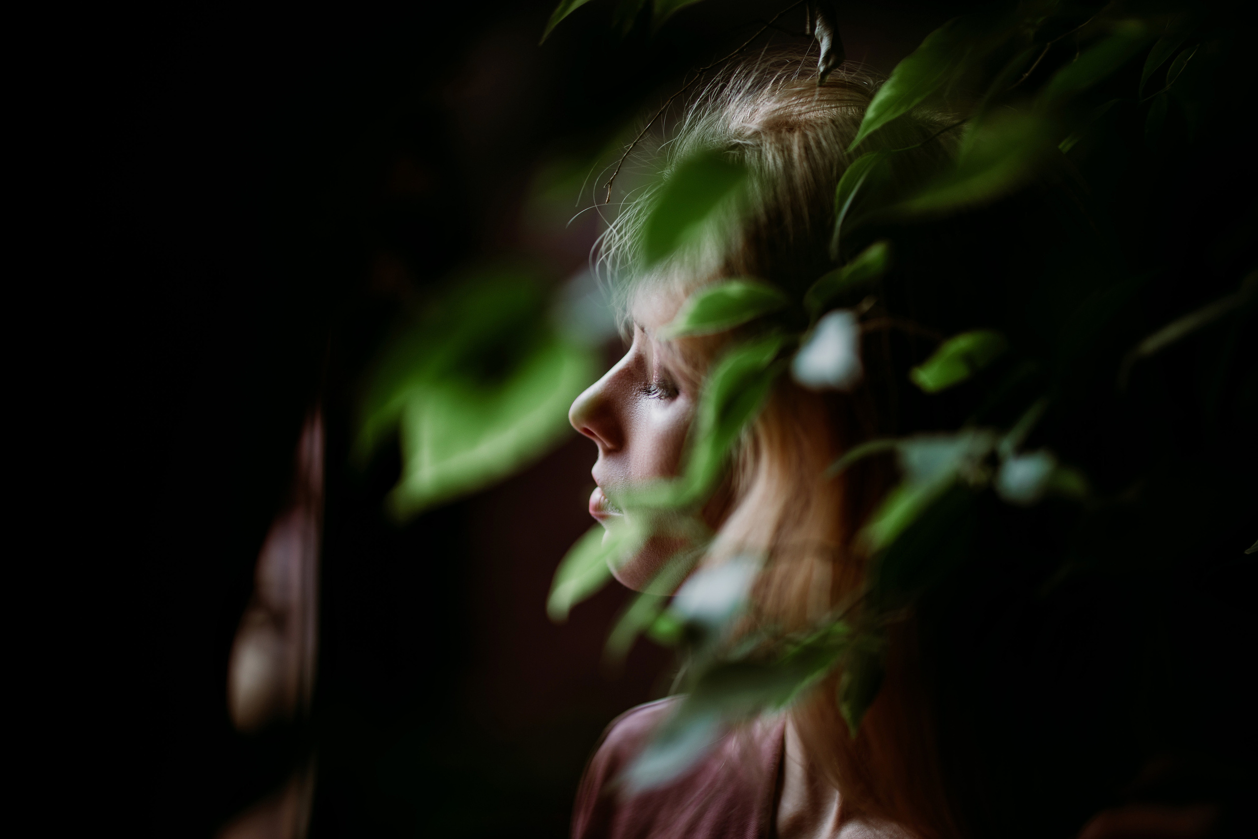 Виола. Фотограф в Санкт-Петербурге Кудрина Альбина