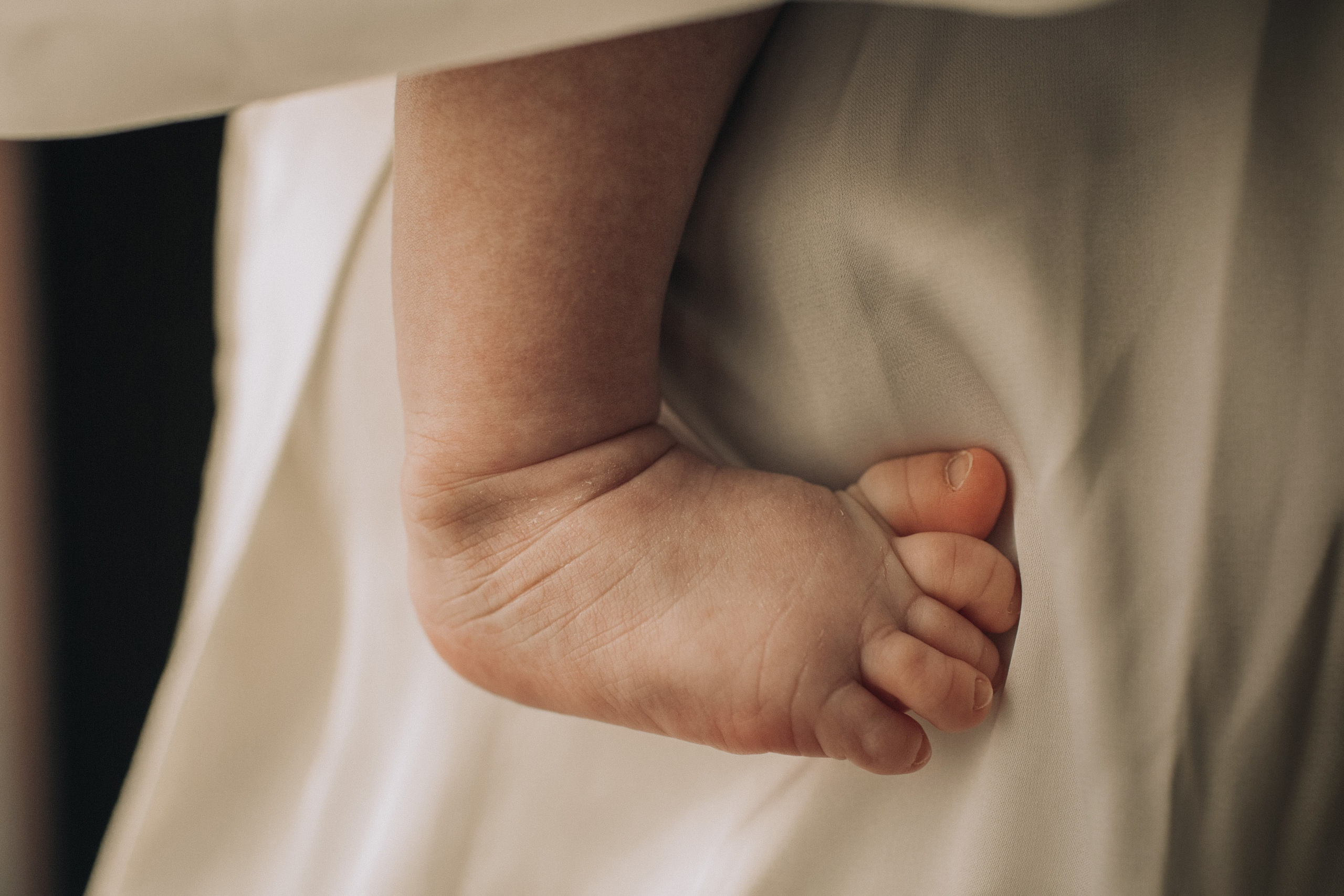 Матвей, Даша, Дима. Семейный фотограф Томск